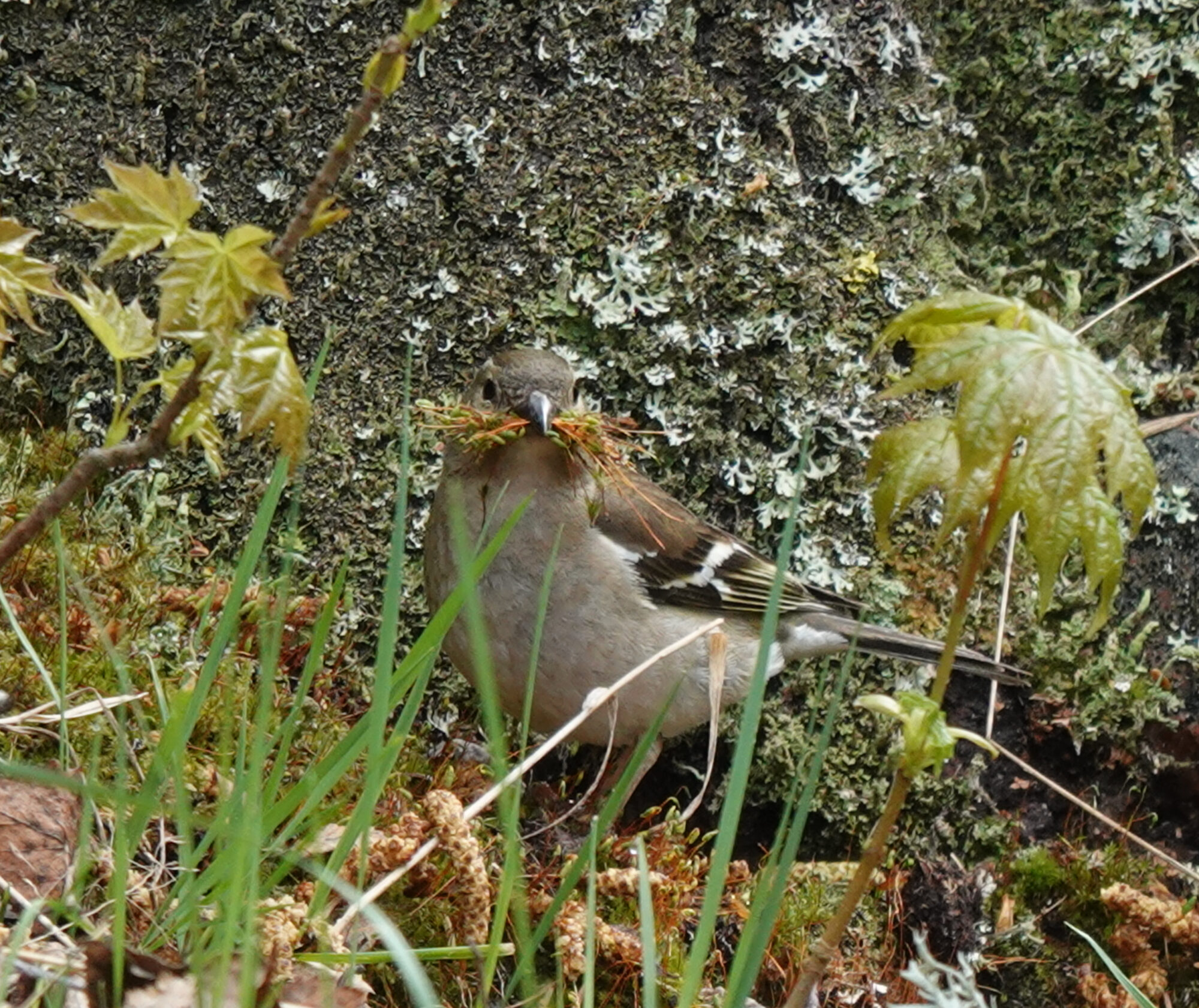 Valokuvaaja: Pekka Heino