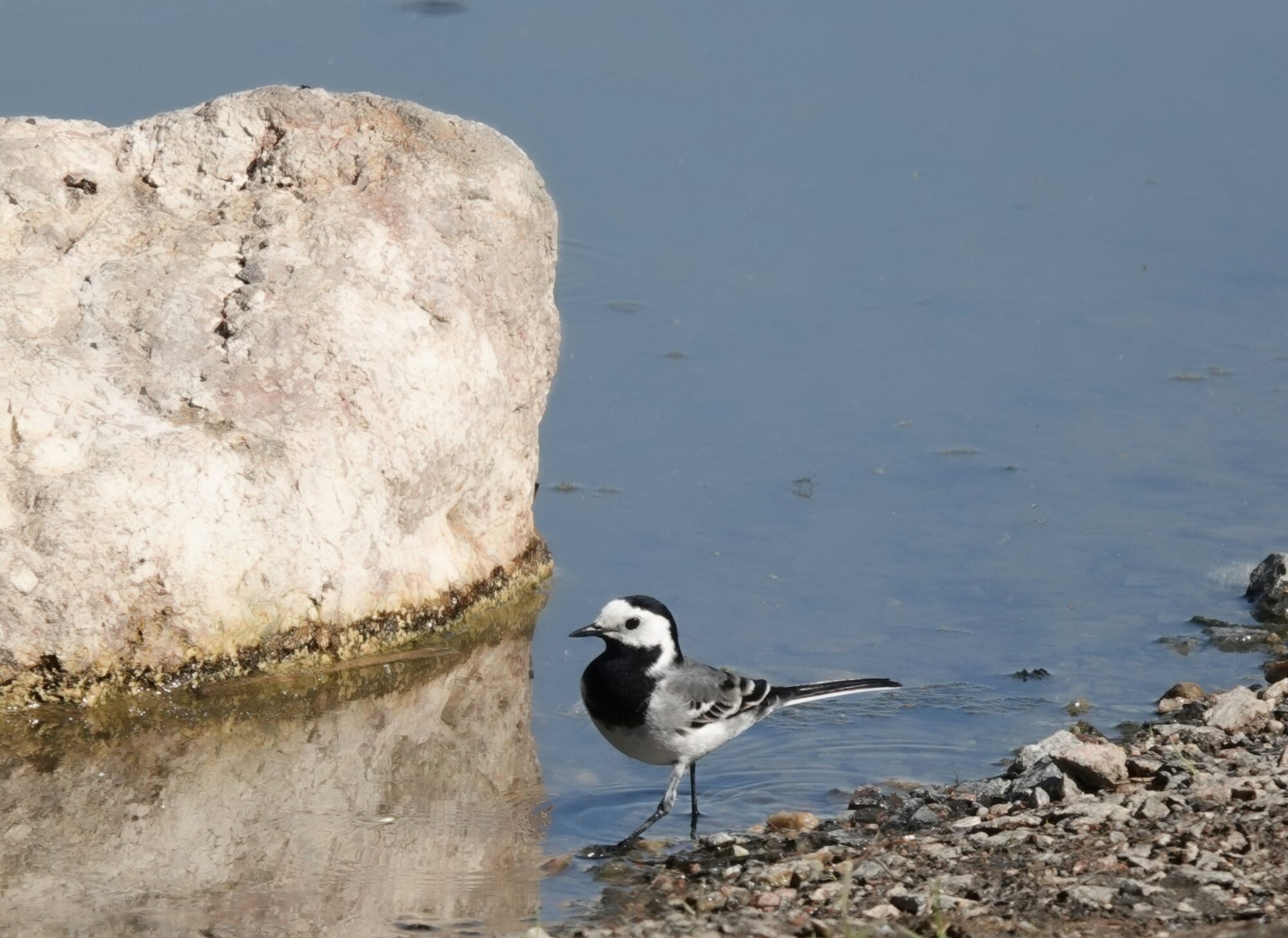 Valokuvaaja: Pekka Heino