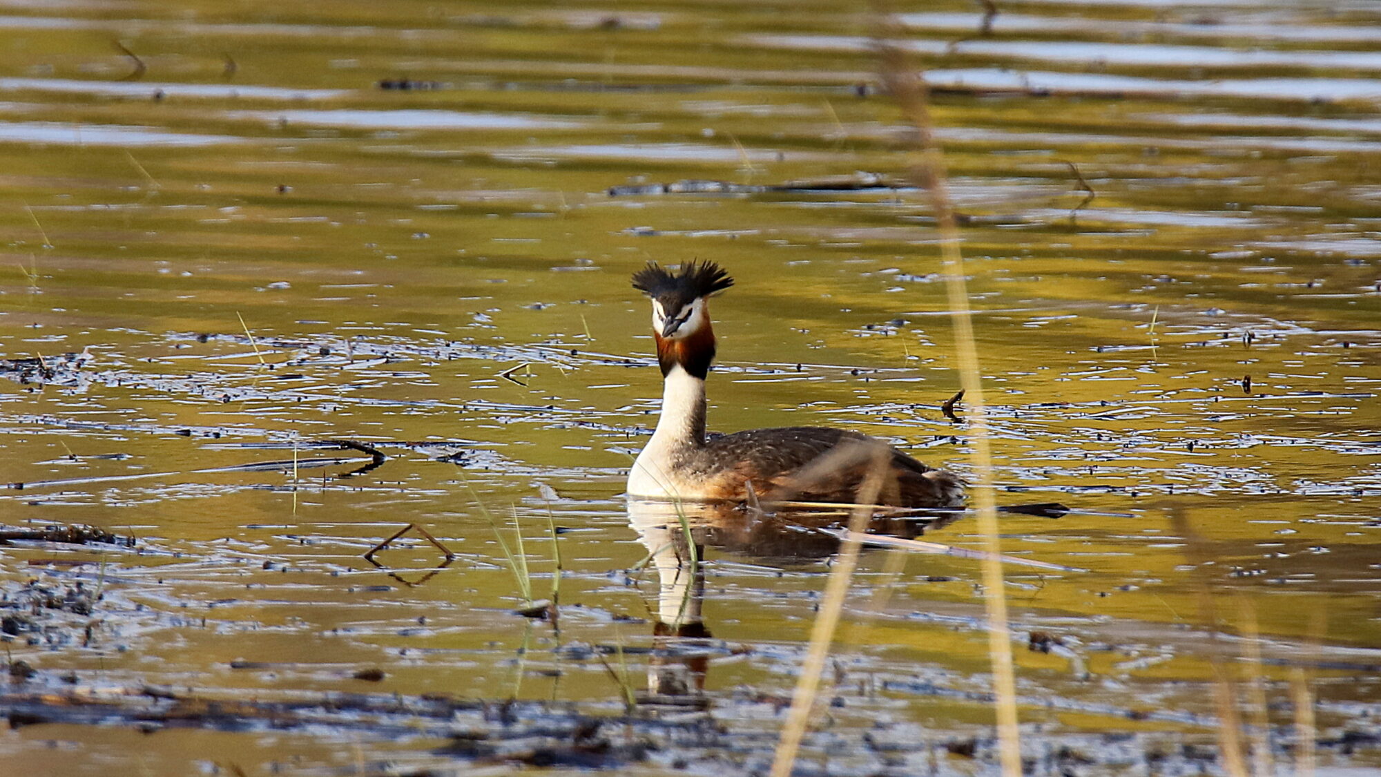 Valokuvaaja: sirpa Jyske