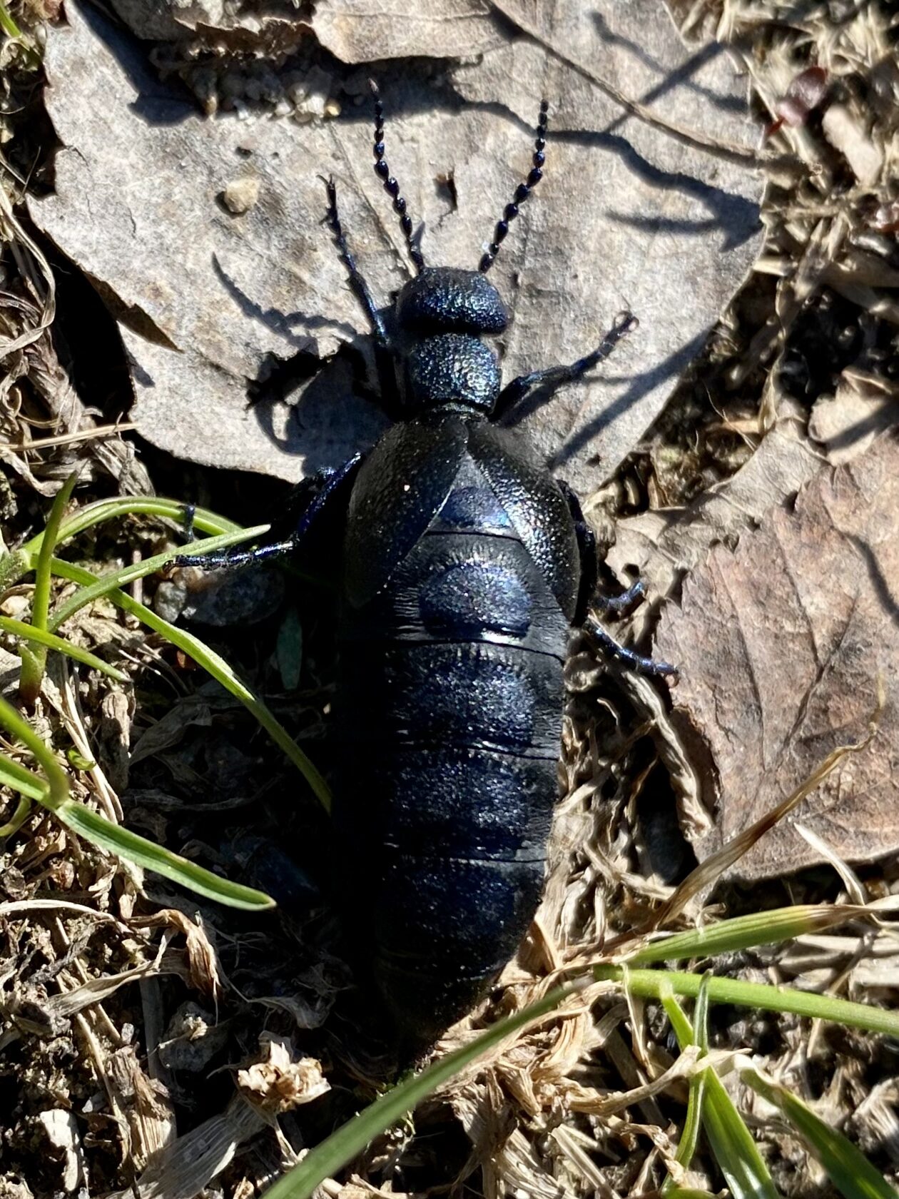 Valokuvaaja: Tiia Haak
