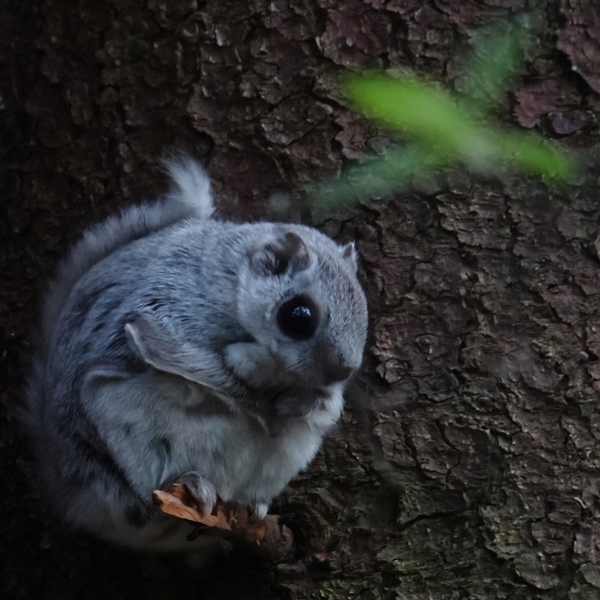 Valokuvaaja: Janne Salomeri