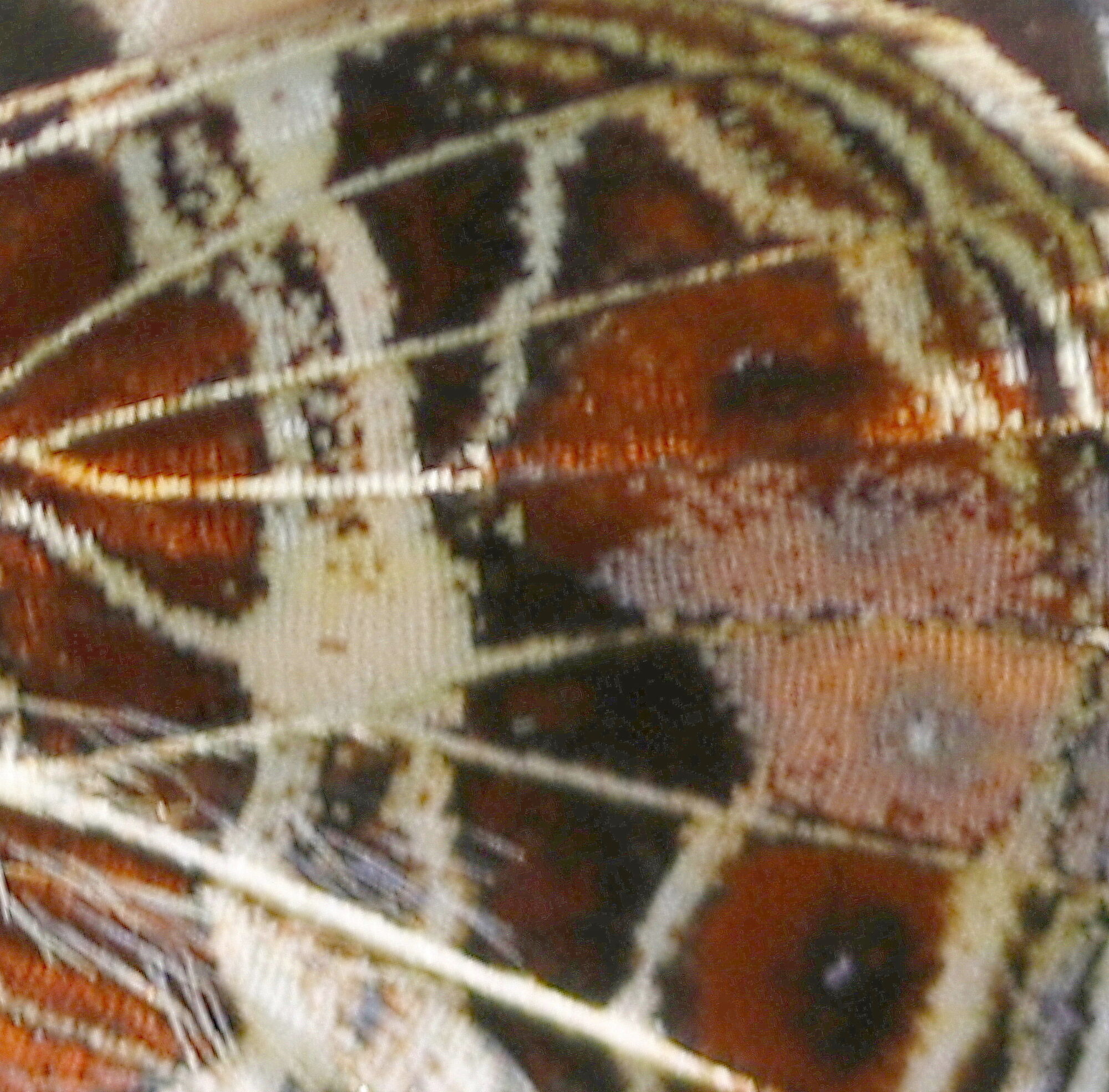 Valokuvaaja: Ritva Nieminen