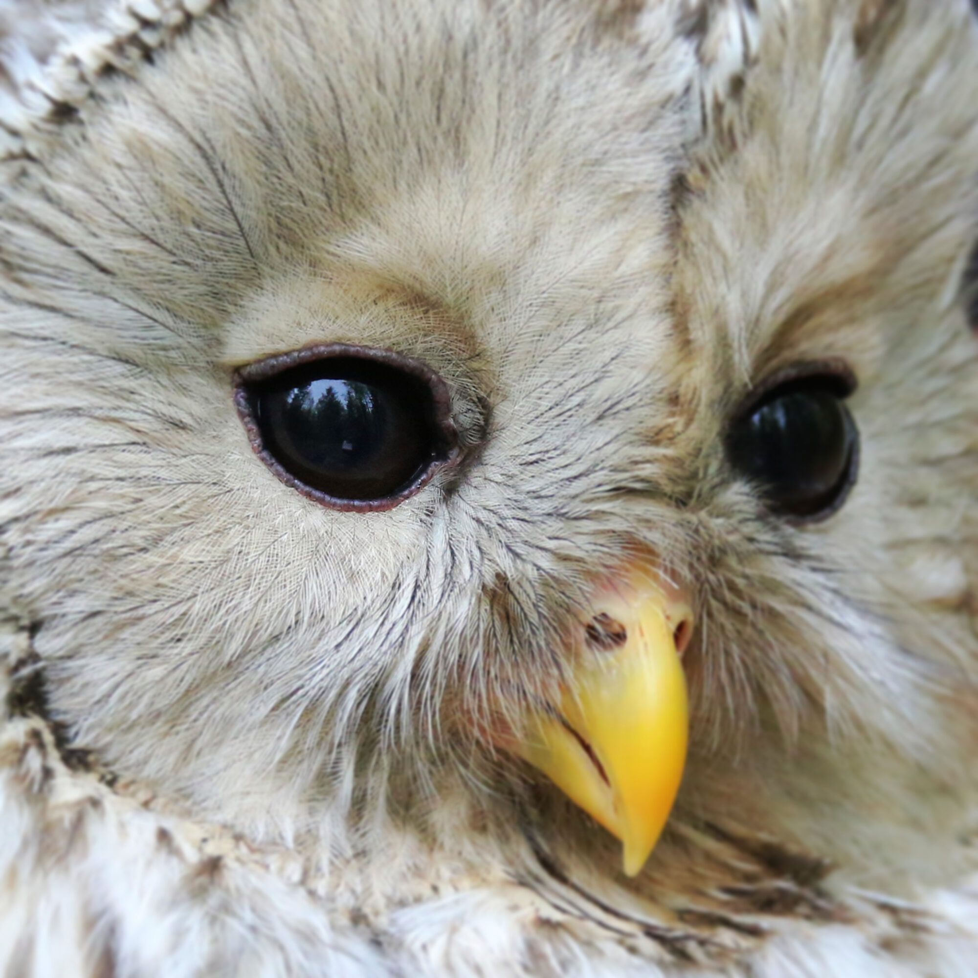 Valokuvaaja: Mikko Siikavesi