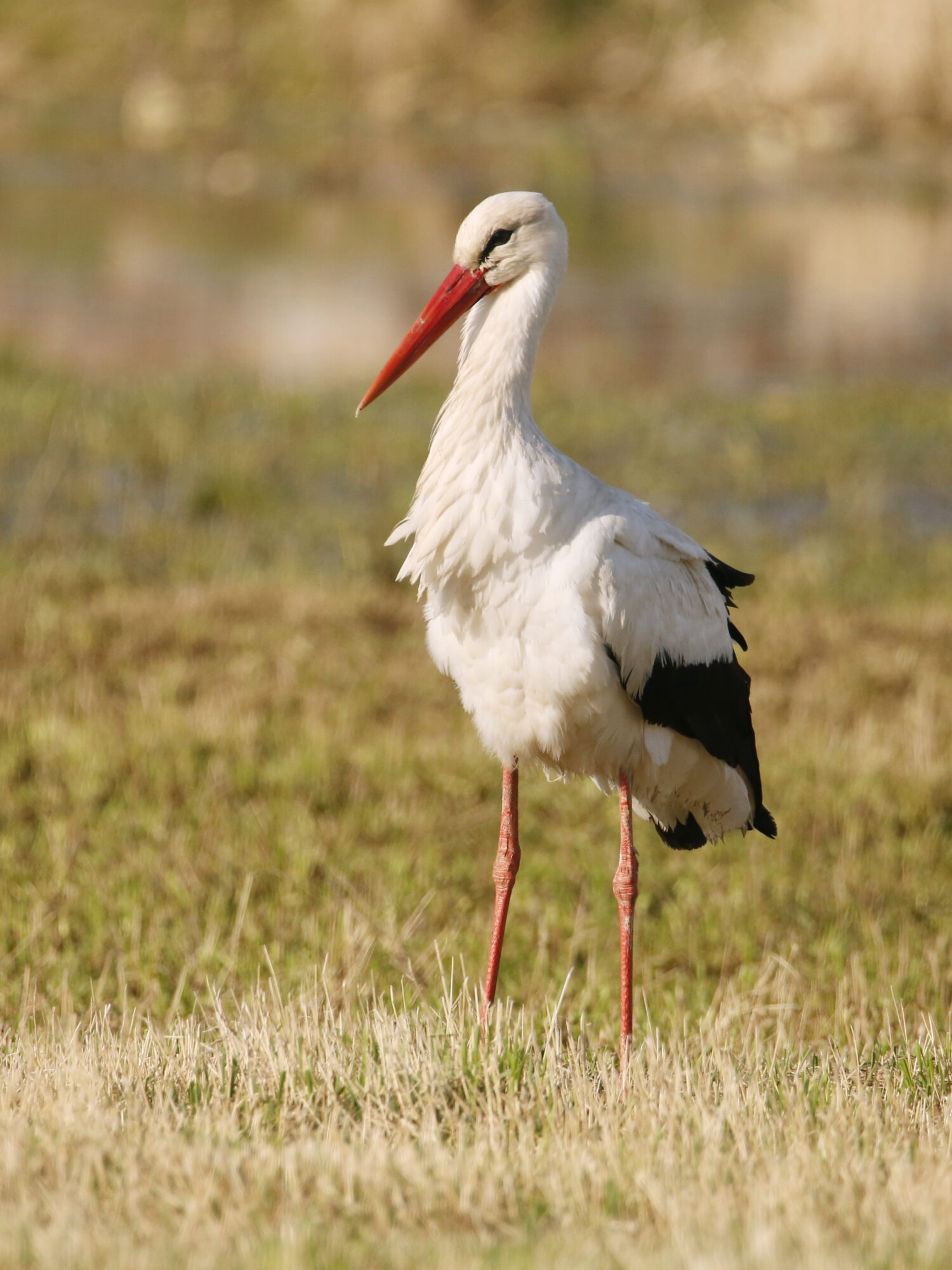 Valokuvaaja: Anne Jääskeläinen