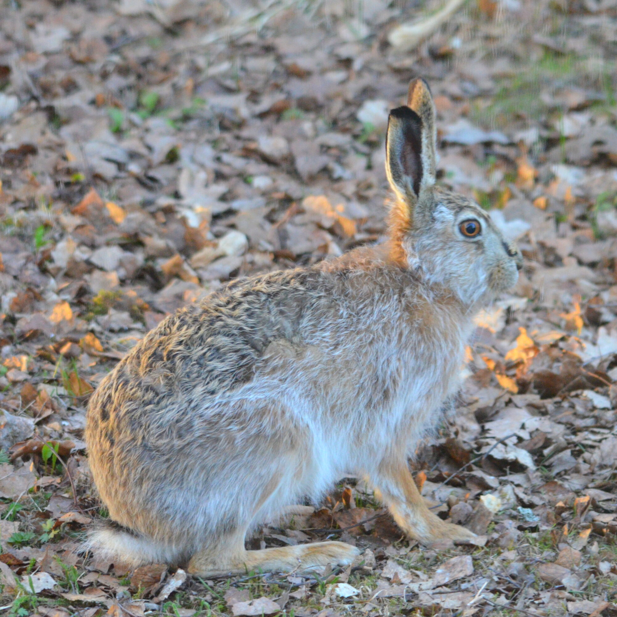 Valokuvaaja: Kaarlo Asikainen