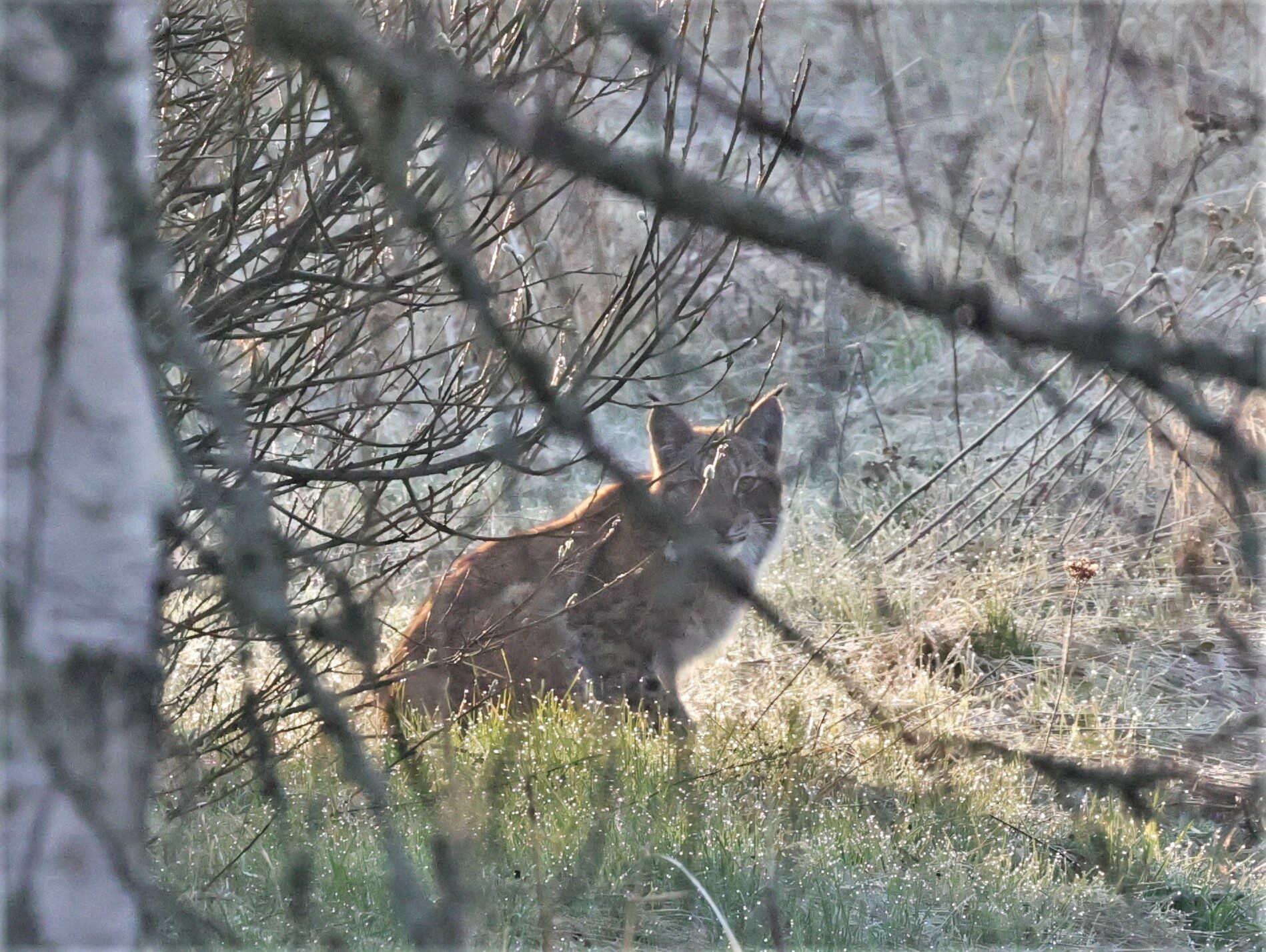 Valokuvaaja: Ari Lempiäinen