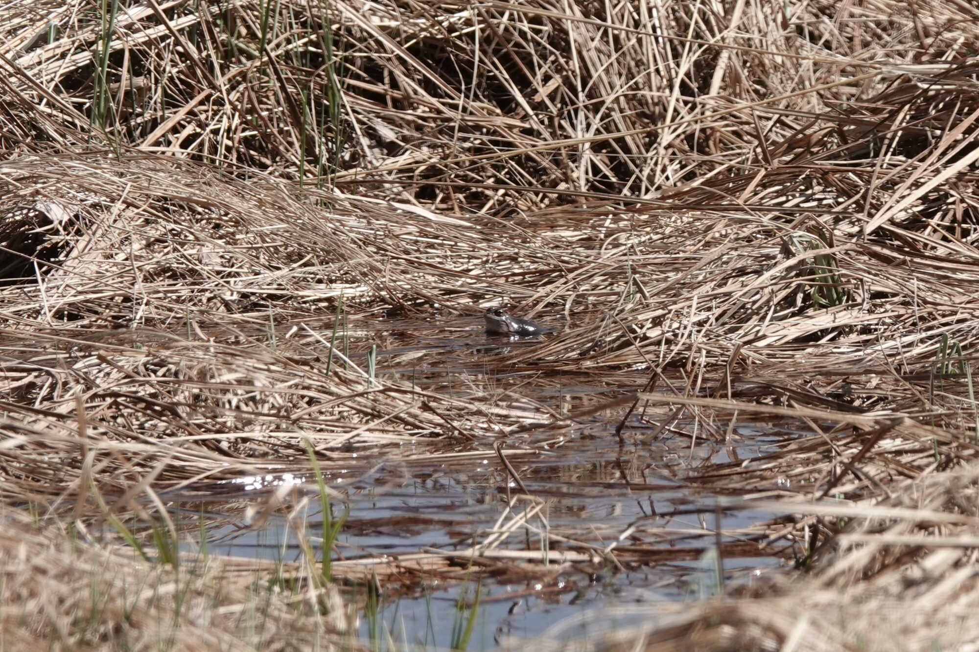 Valokuvaaja: Jenna Pitkänen