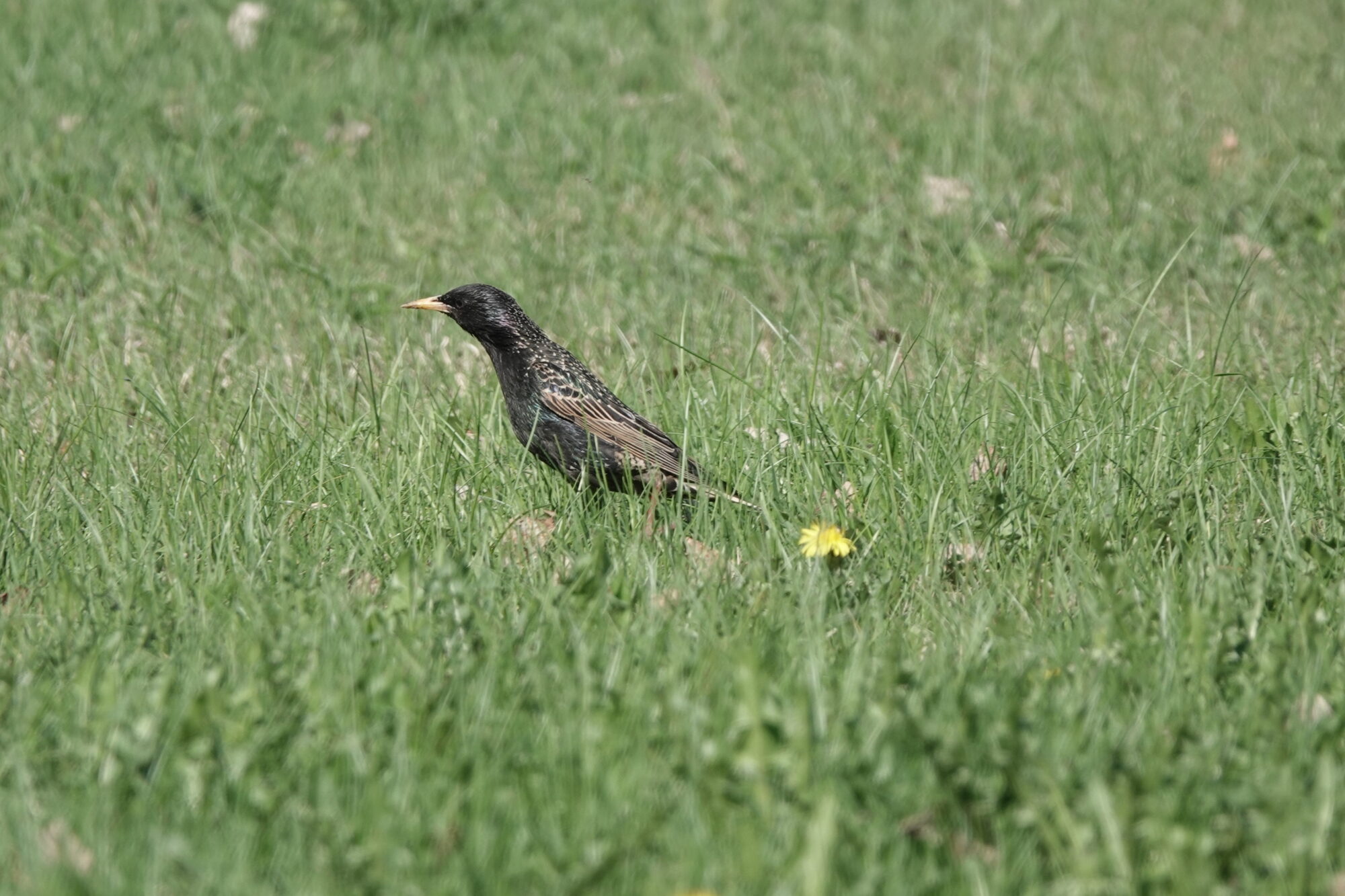Valokuvaaja: Jenna Pitkänen Valokuvaaja: Jenna Pitkänen