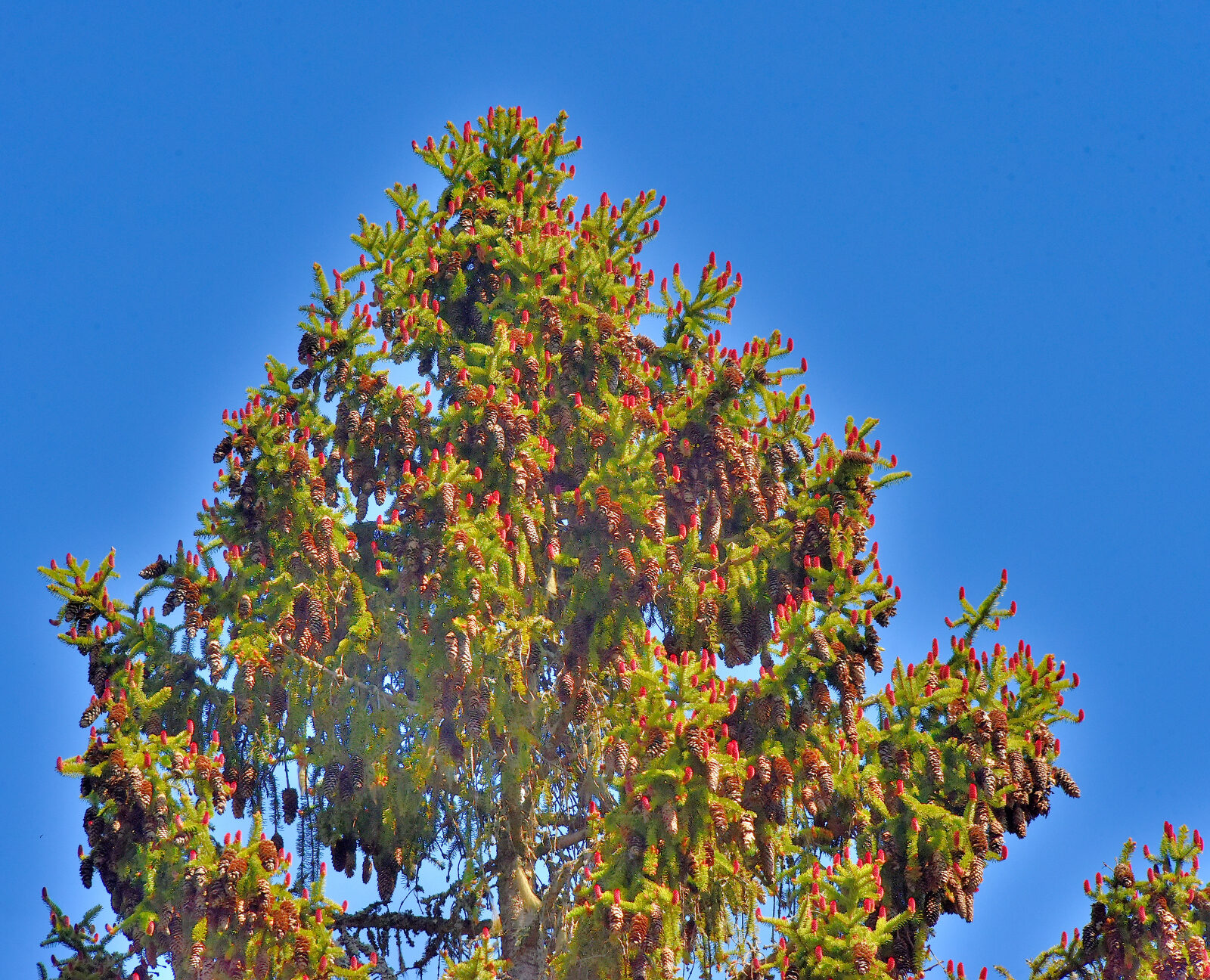 Valokuvaaja: Reijo Juurinen