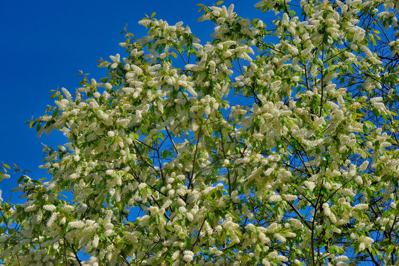 Valokuvaaja: Reijo Juurinen