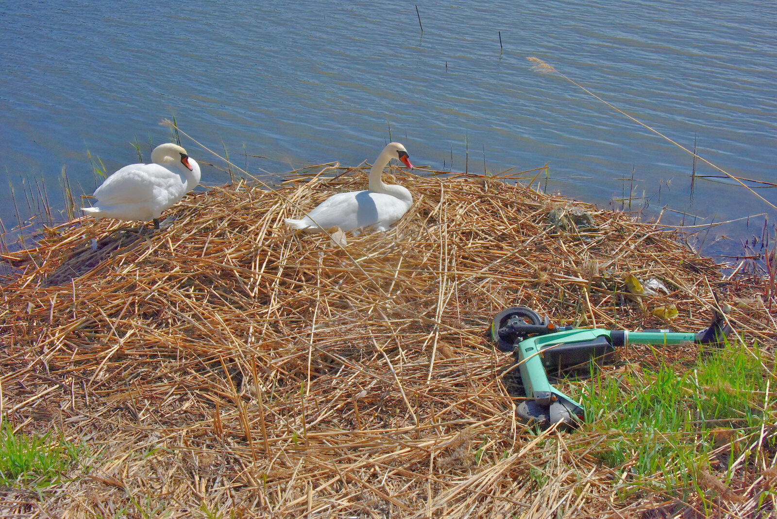 Valokuvaaja: Reijo Juurinen