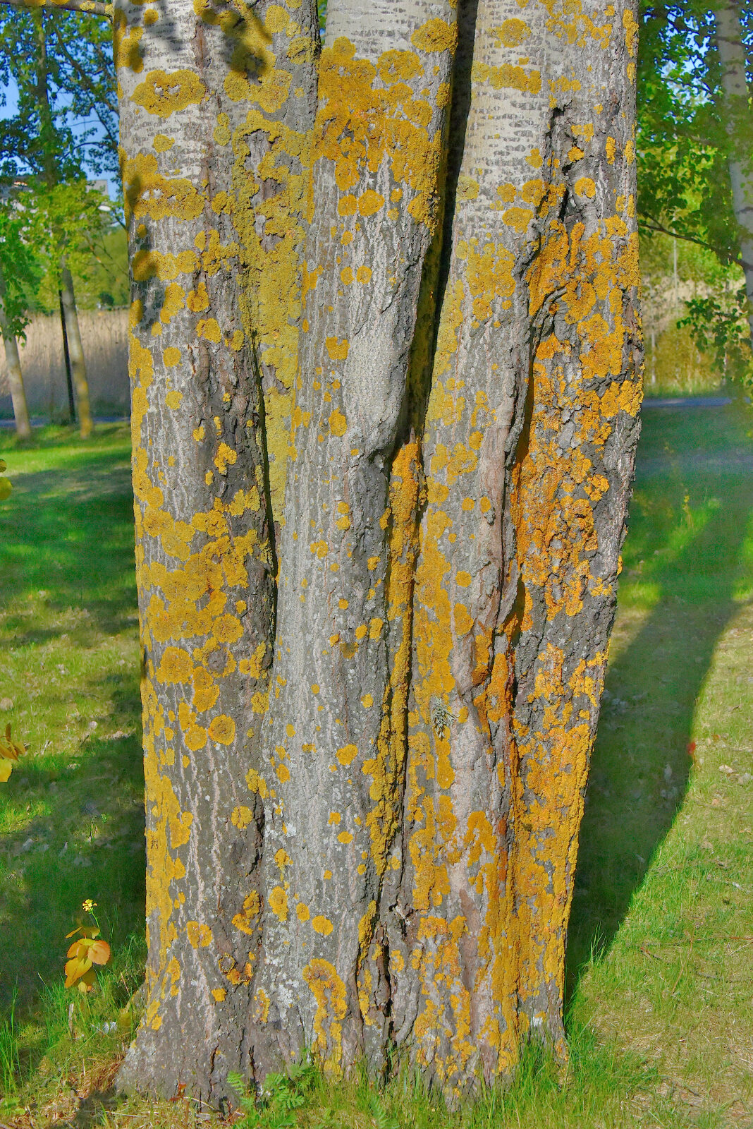 Valokuvaaja: Reijo Juurinen