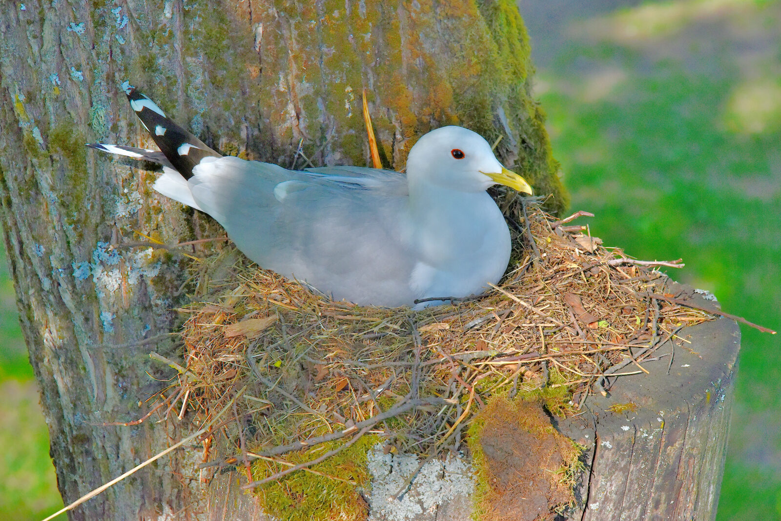 Valokuvaaja: Reijo Juurinen