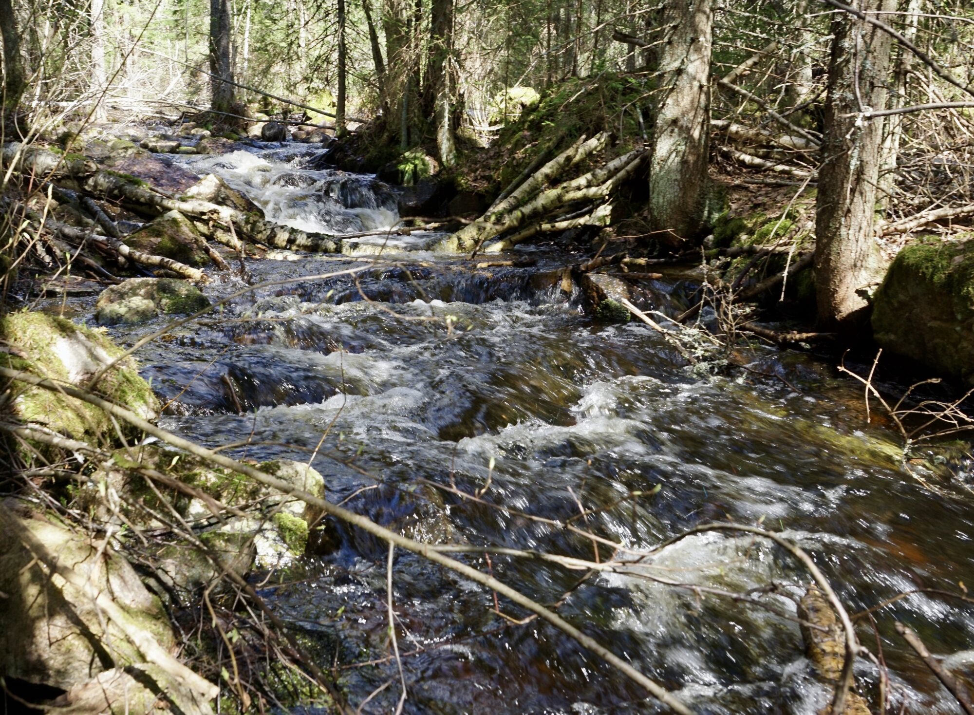 Valokuvaaja: Markku Ranta-Eilola