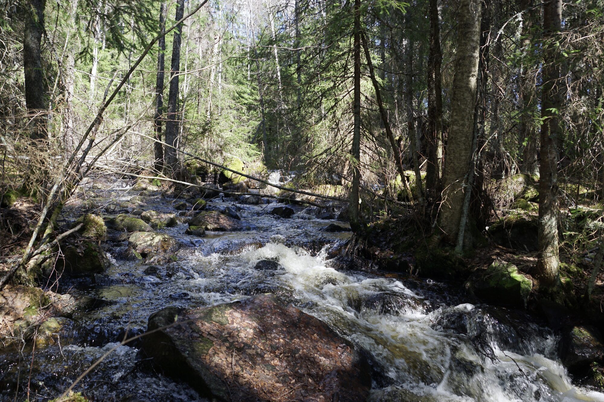 Valokuvaaja: Markku Ranta-Eilola
