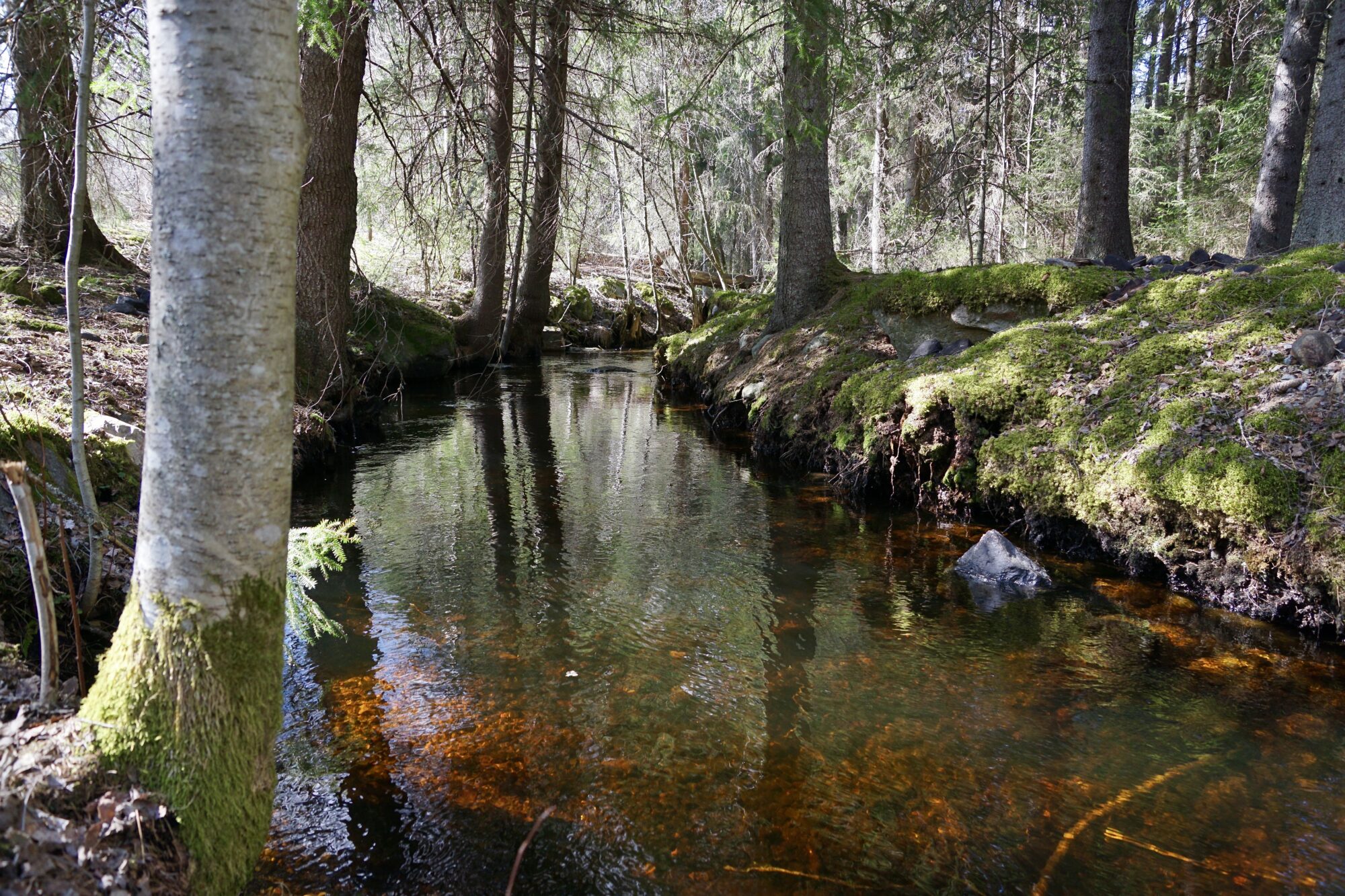 Valokuvaaja: Markku Ranta-Eilola