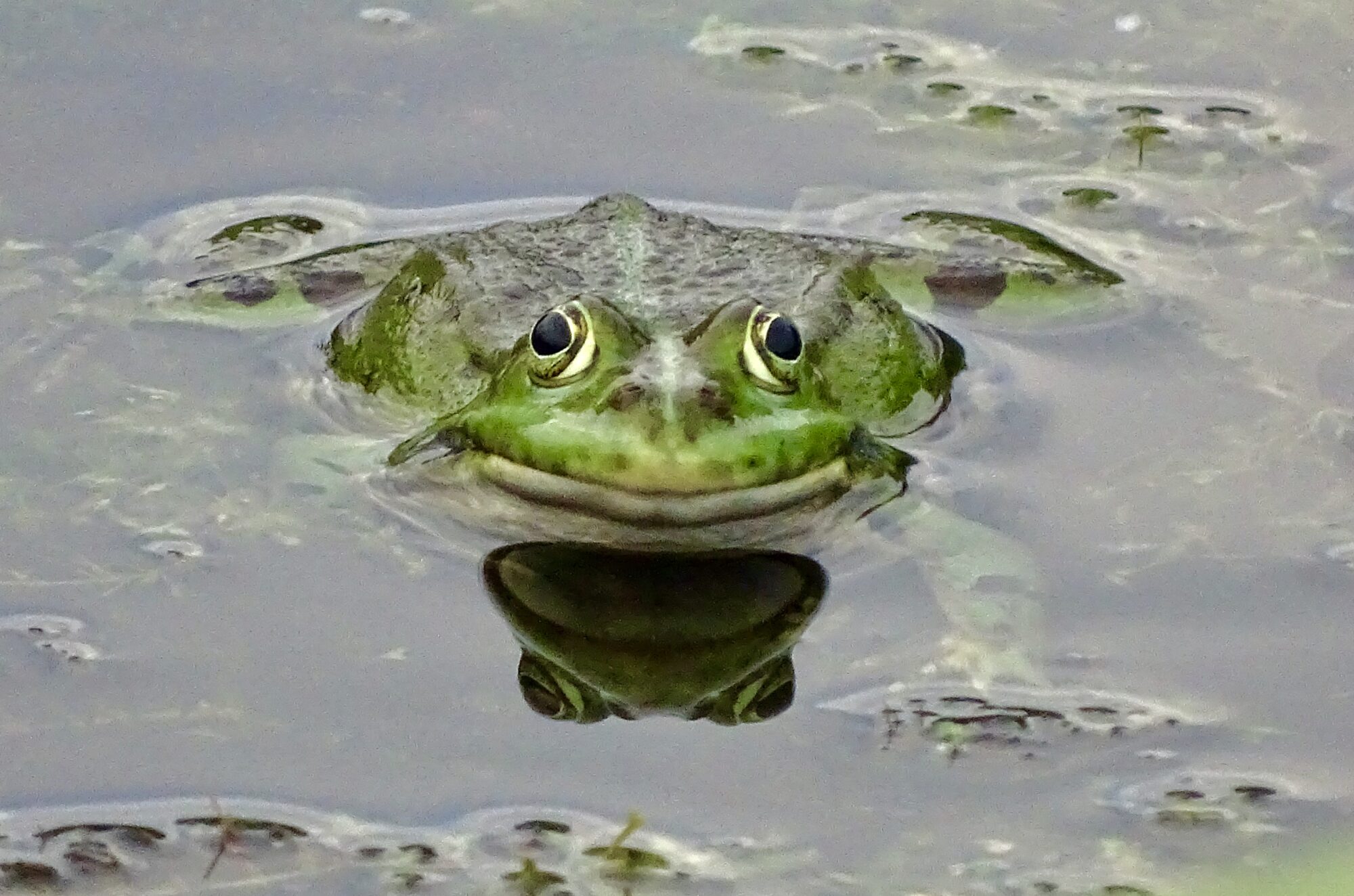 Valokuvaaja: Juhani Peltonen