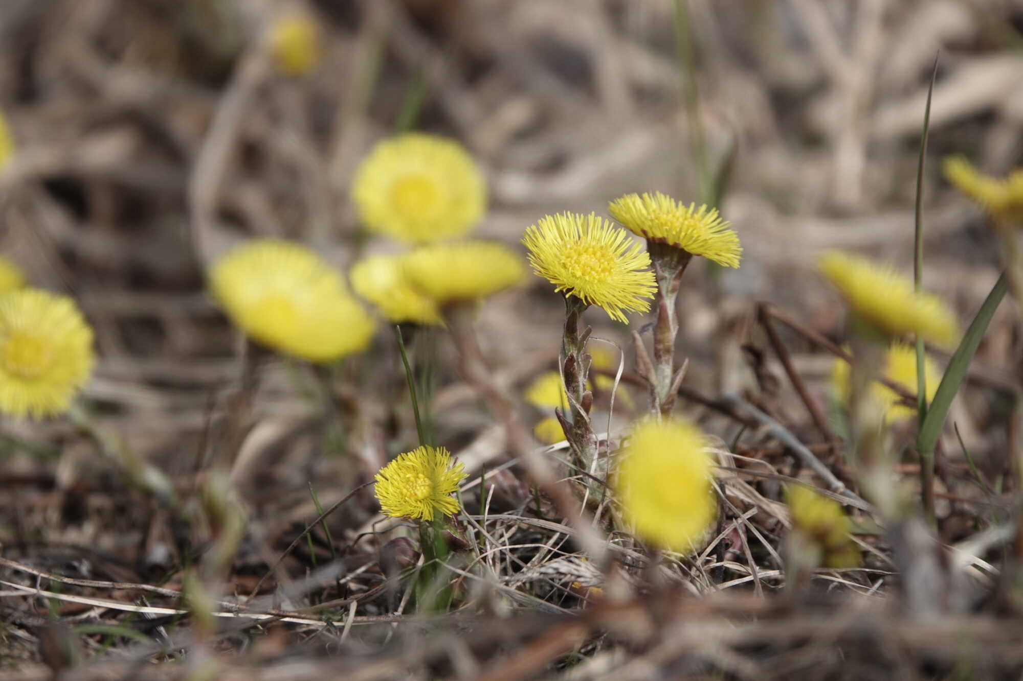 Valokuvaaja: Jenna Pitkänen