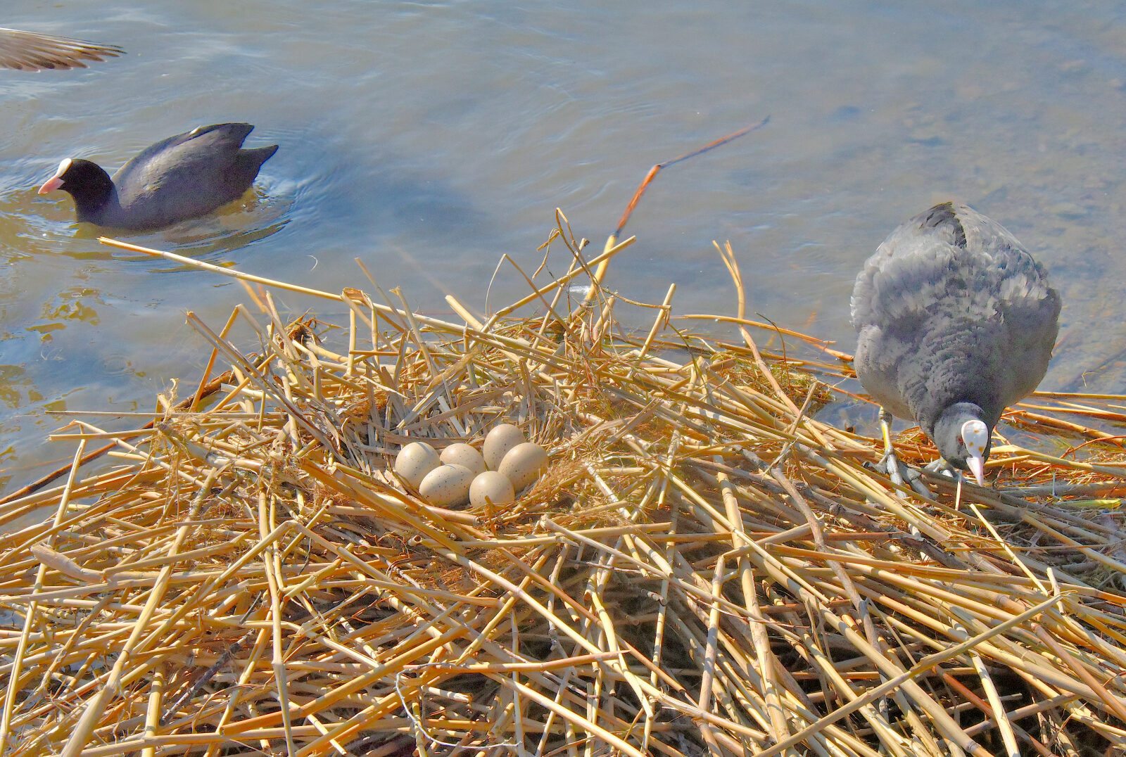 Valokuvaaja: Reijo Juurinen