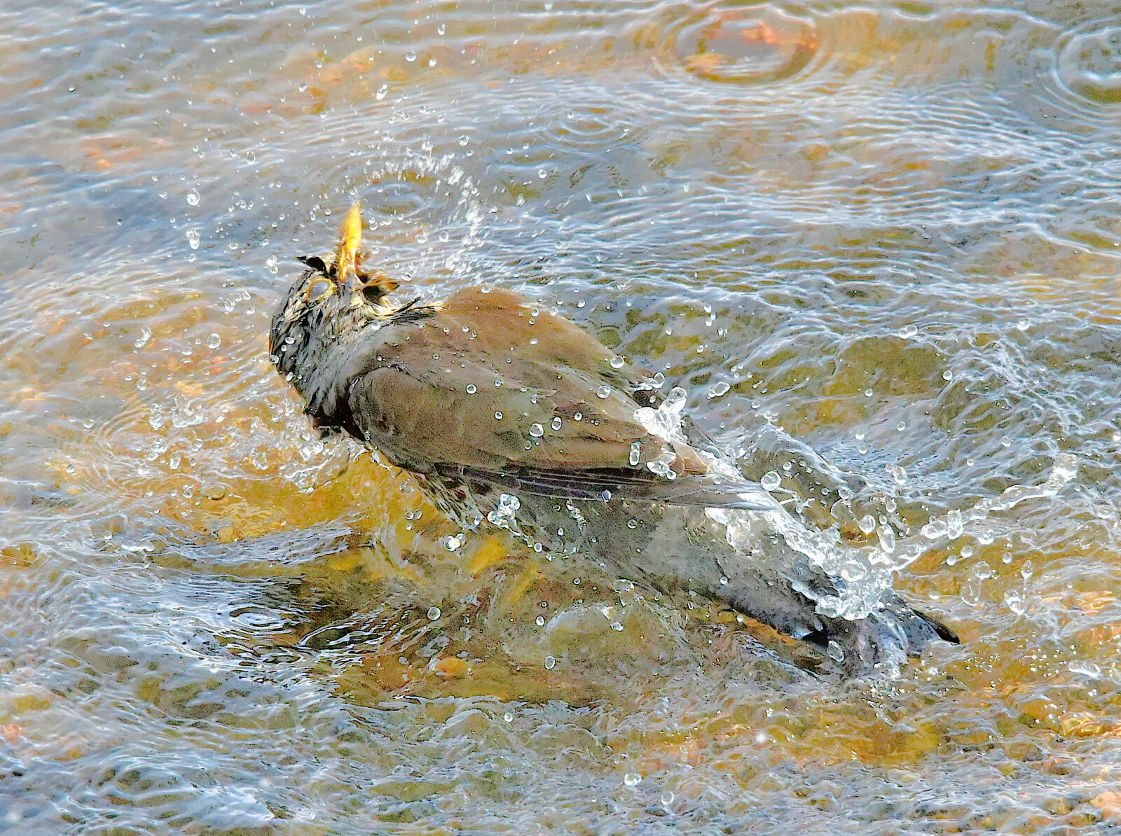 Valokuvaaja: Reijo Juurinen