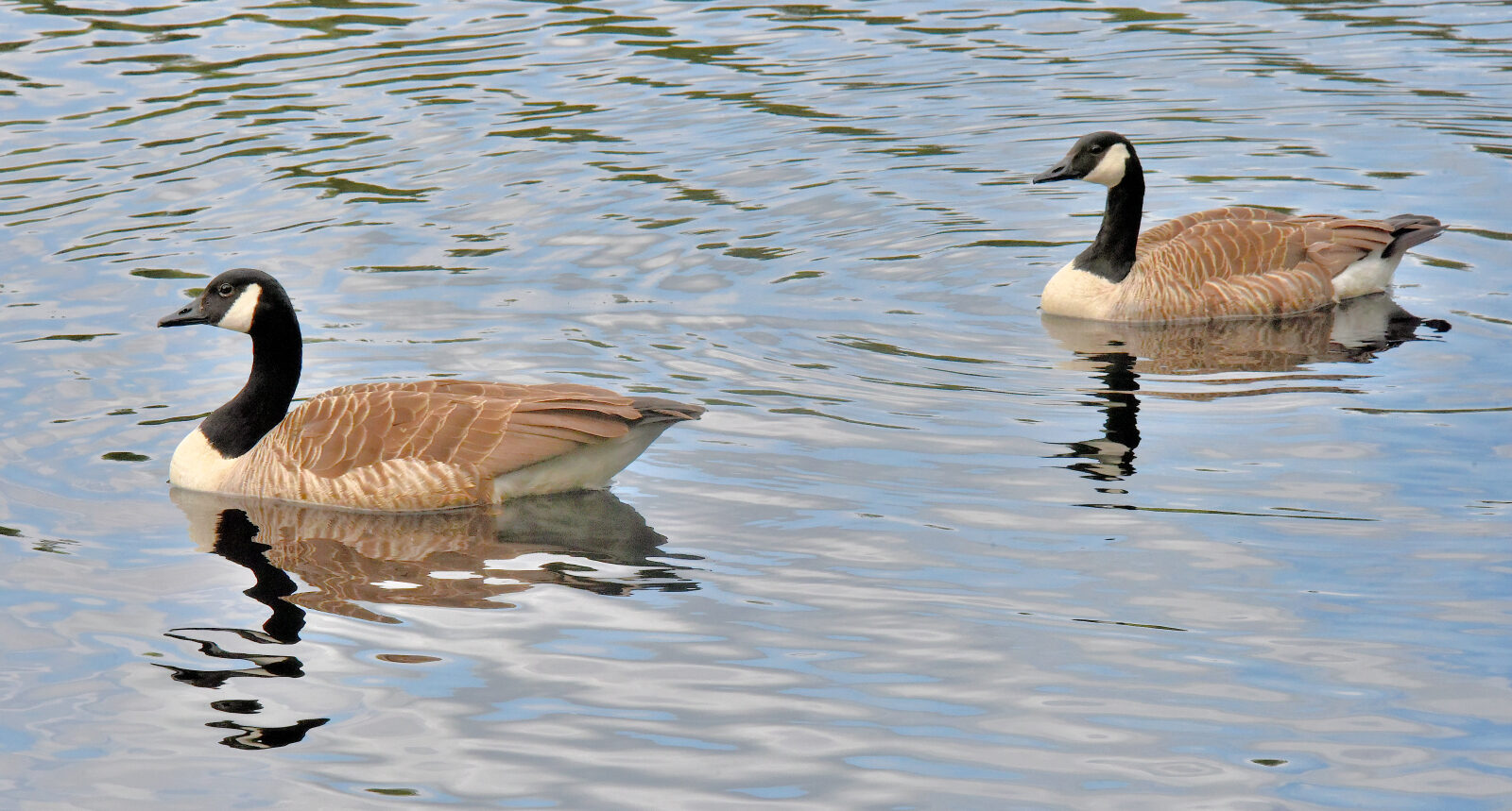 Valokuvaaja: Reijo Juurinen