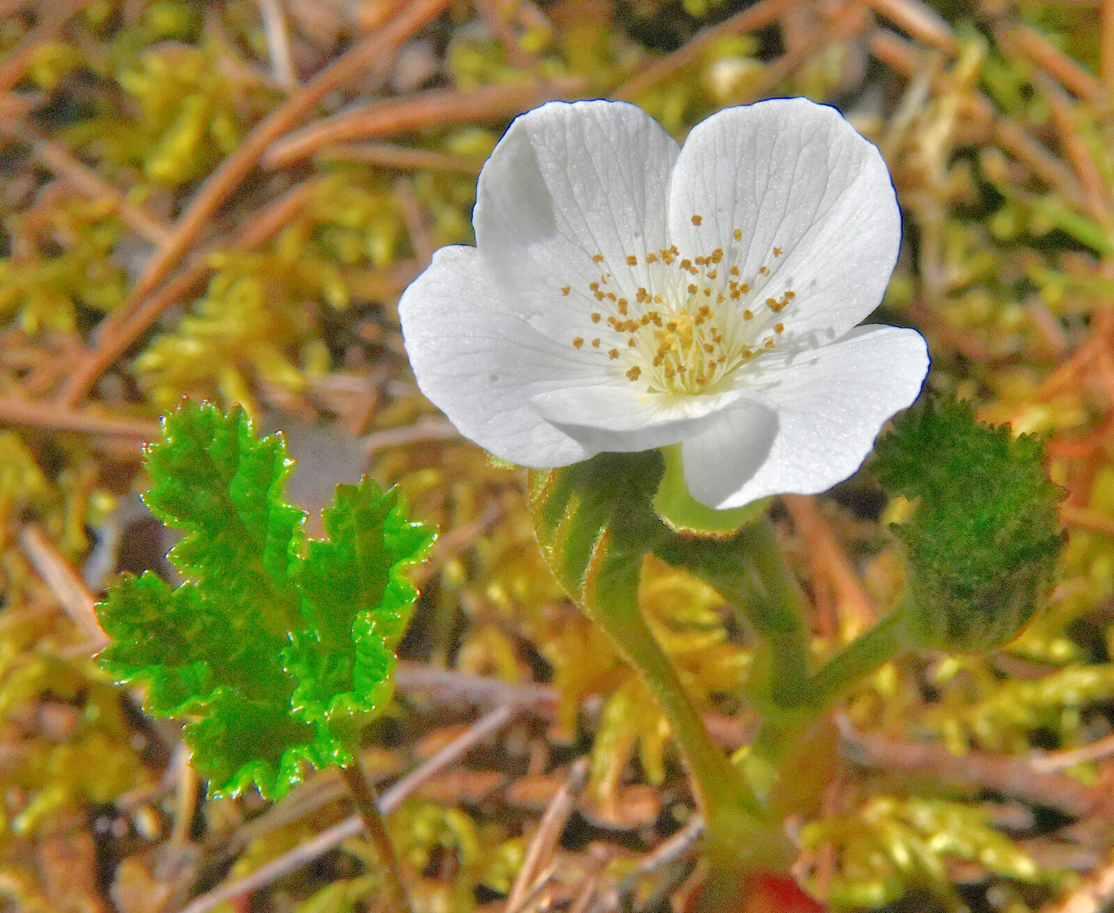 Valokuvaaja: Reijo Juurinen