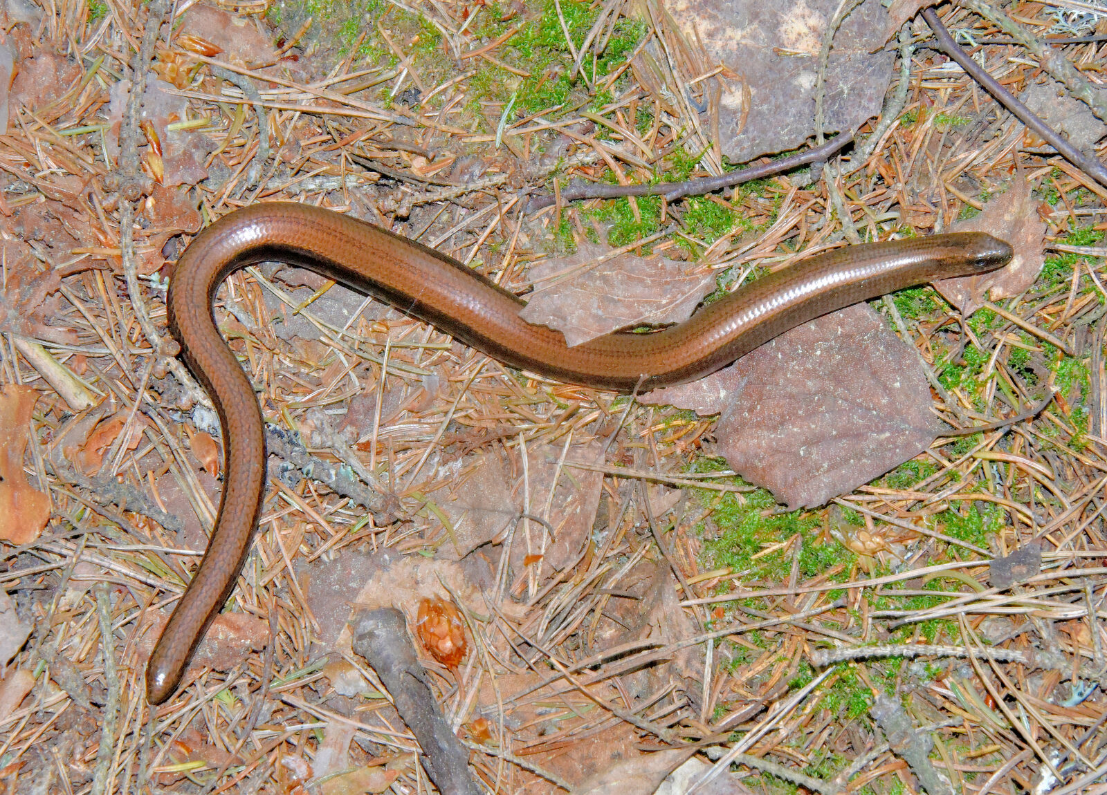 Valokuvaaja: Reijo Juurinen