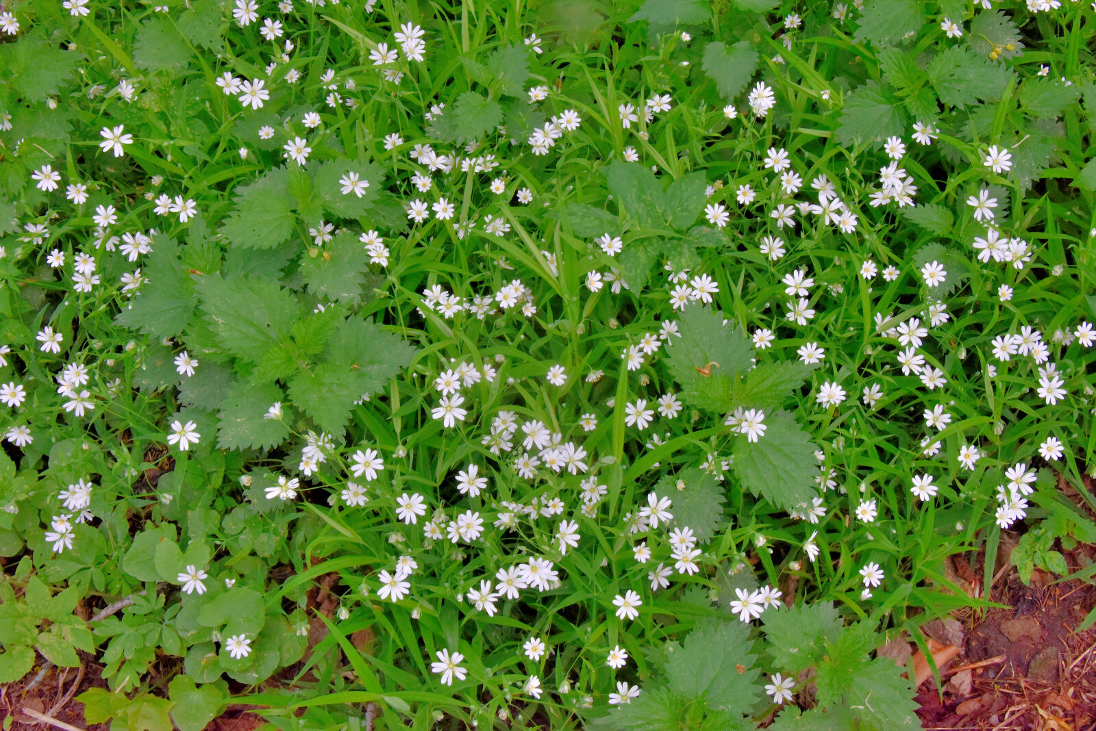 Valokuvaaja: Reijo Juurinen