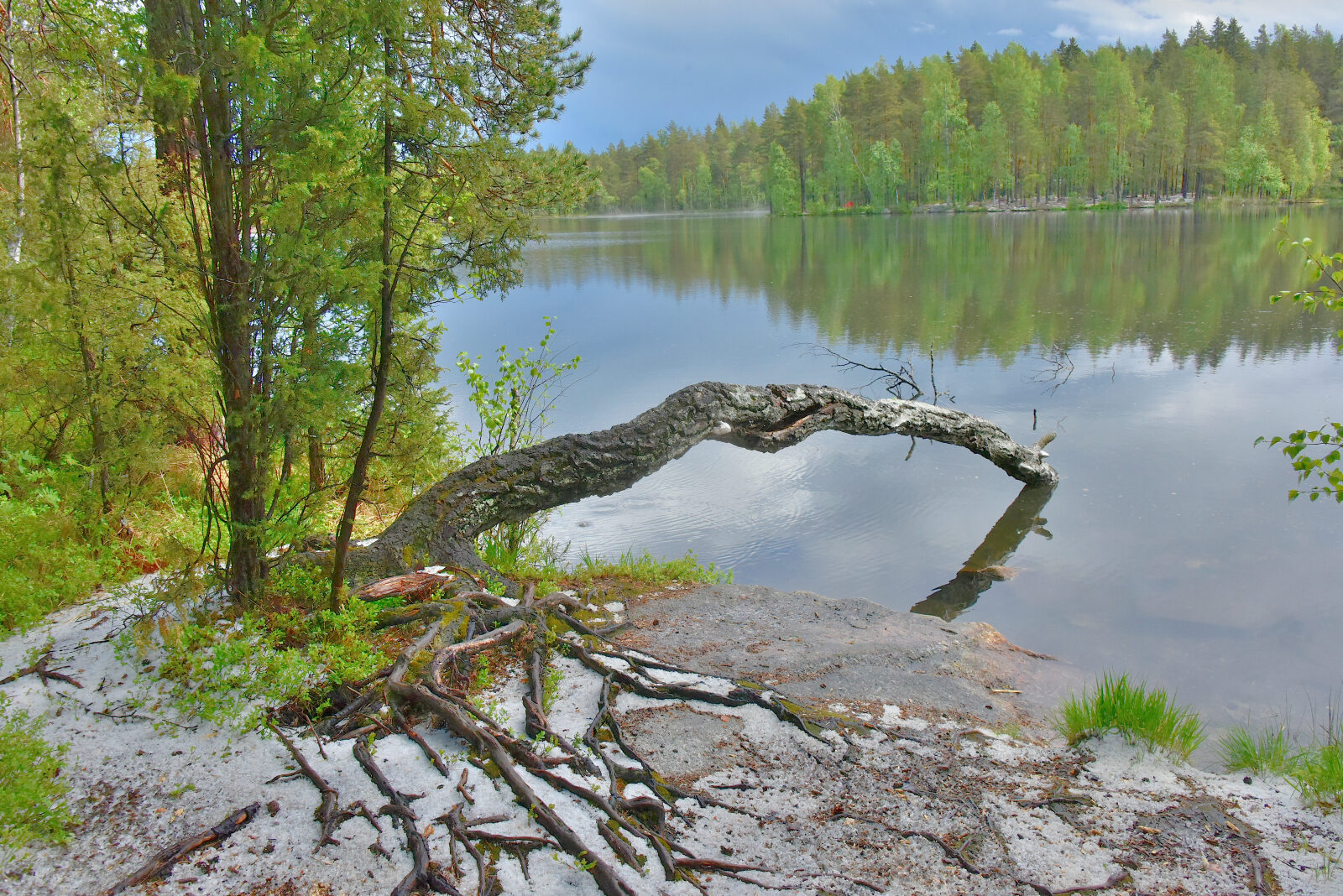 Valokuvaaja: Reijo Juurinen