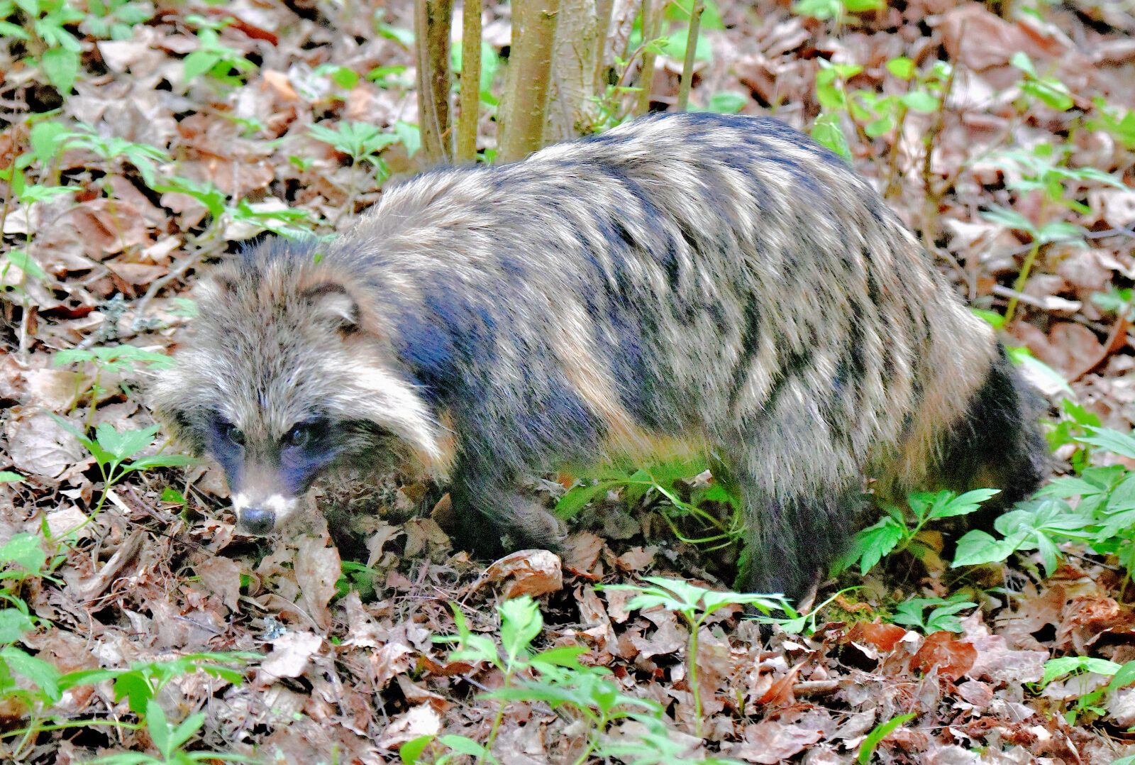 Valokuvaaja: Reijo Juurinen