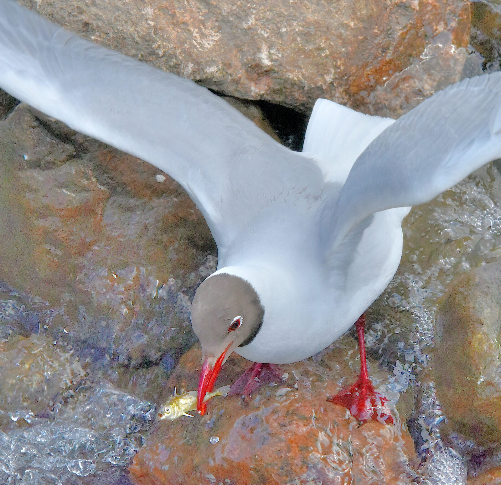 Valokuvaaja: Reijo Juurinen