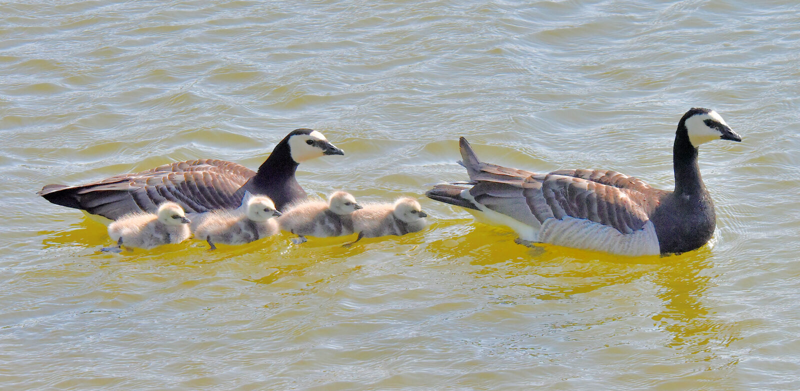 Valokuvaaja: Reijo Juurinen Valokuvaaja: Reijo Juurinen
