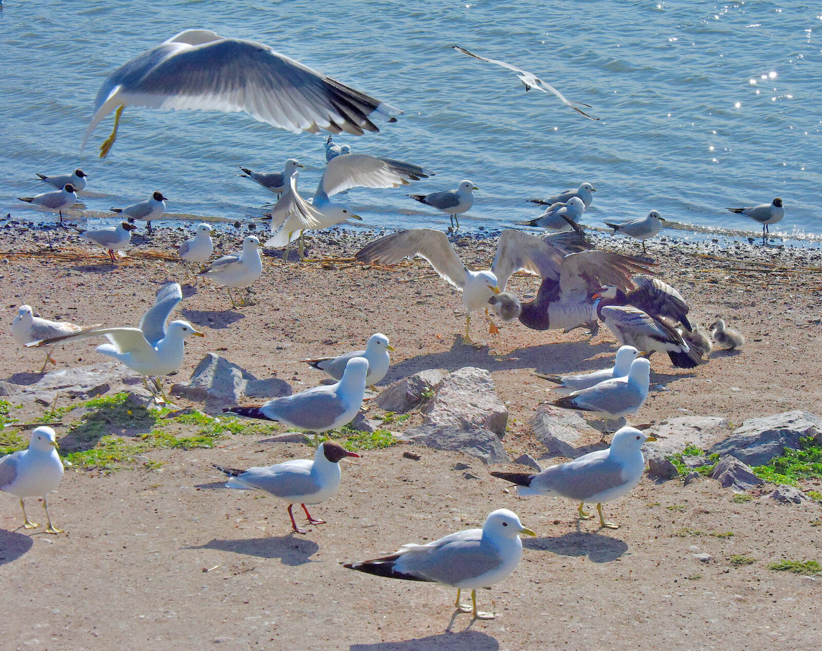 Valokuvaaja: Reijo Juurinen