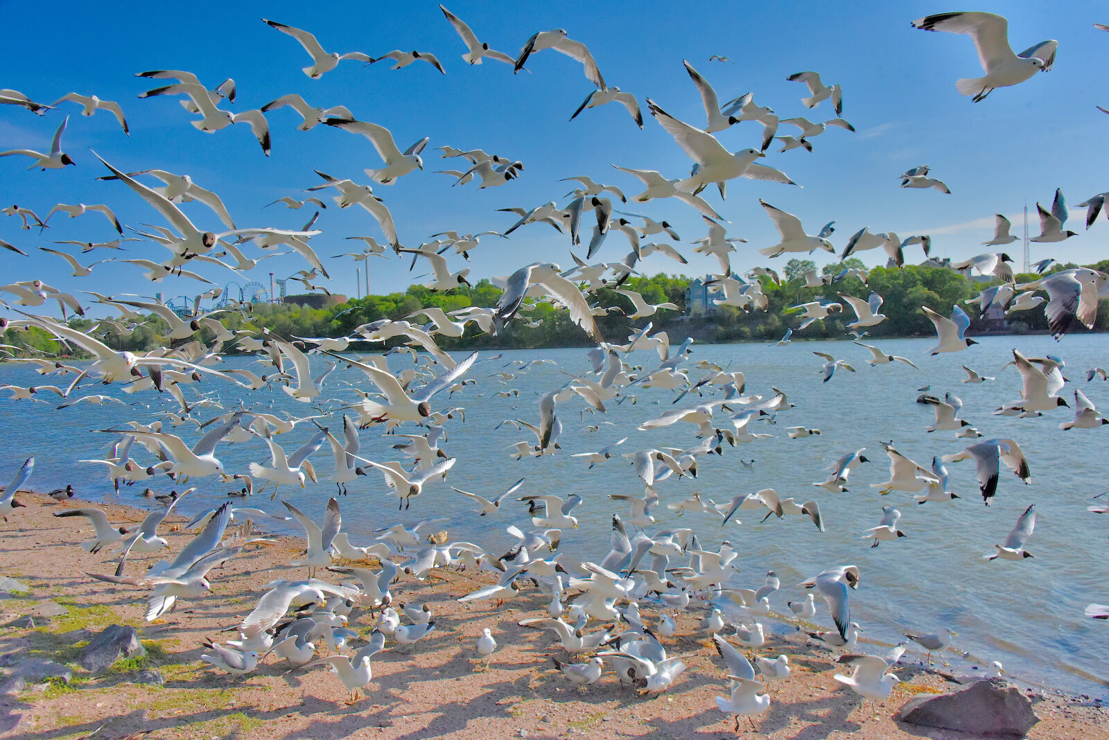 Valokuvaaja: Reijo Juurinen