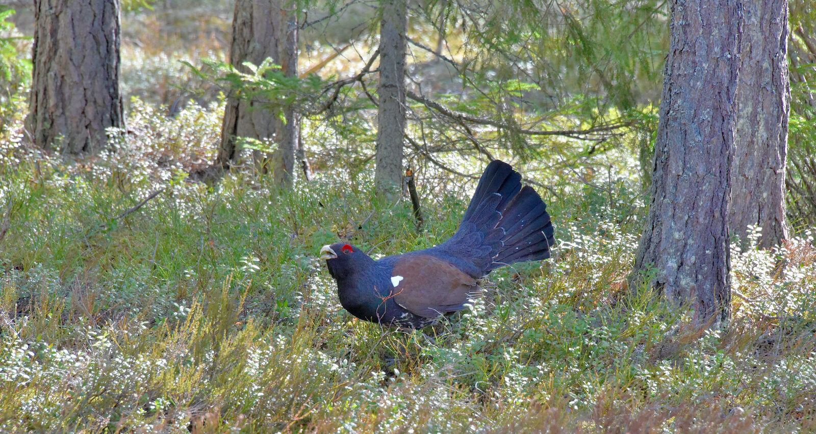 Valokuvaaja: Reijo Juurinen
