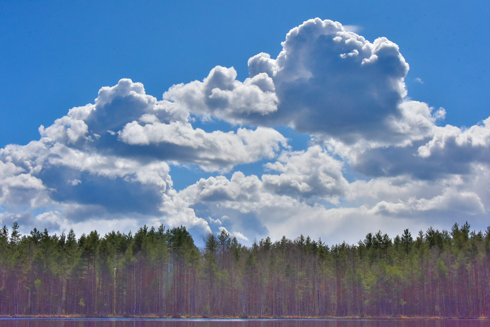 Valokuvaaja: Reijo Juurinen