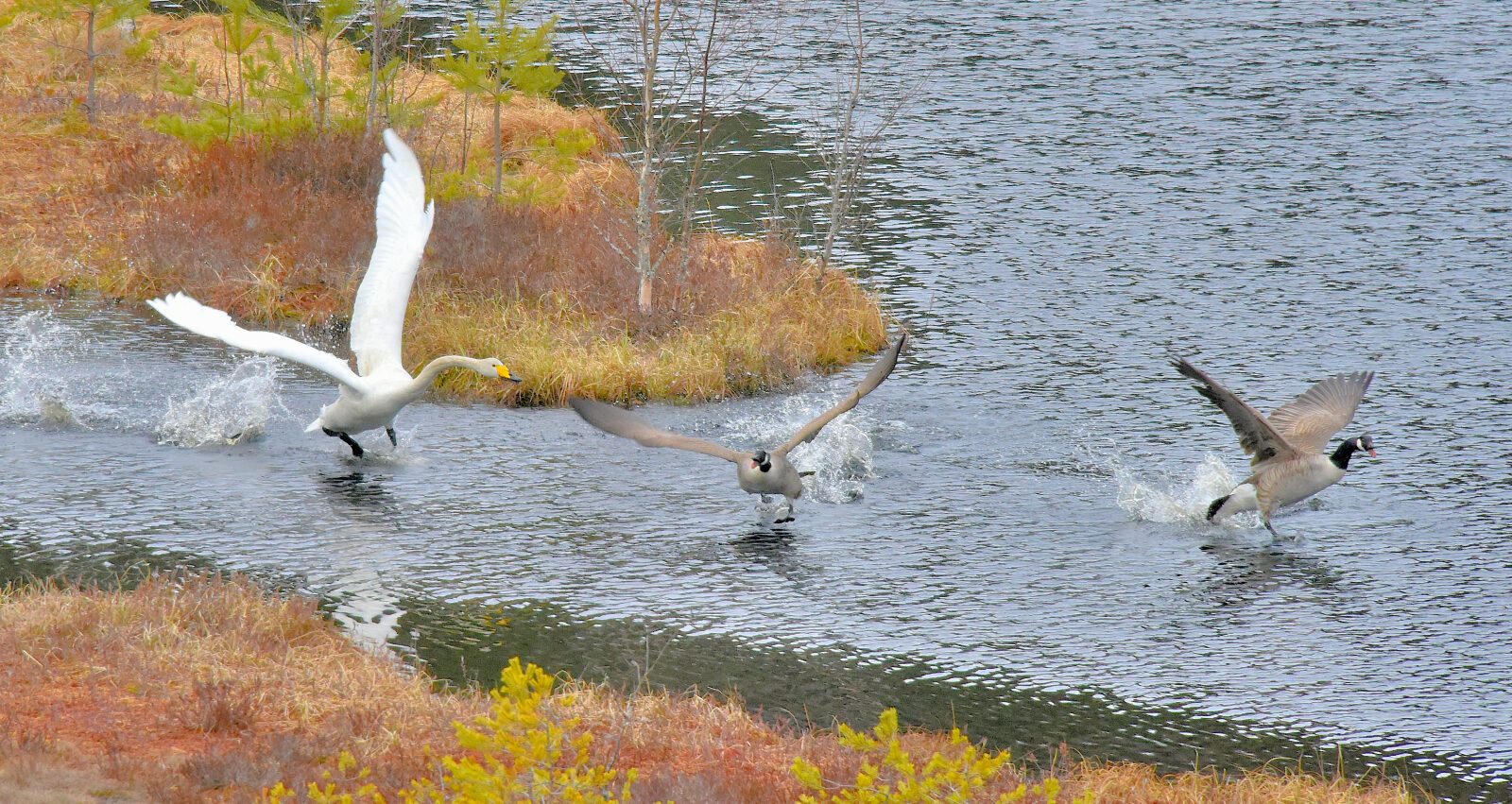 Valokuvaaja: Reijo Juurinen