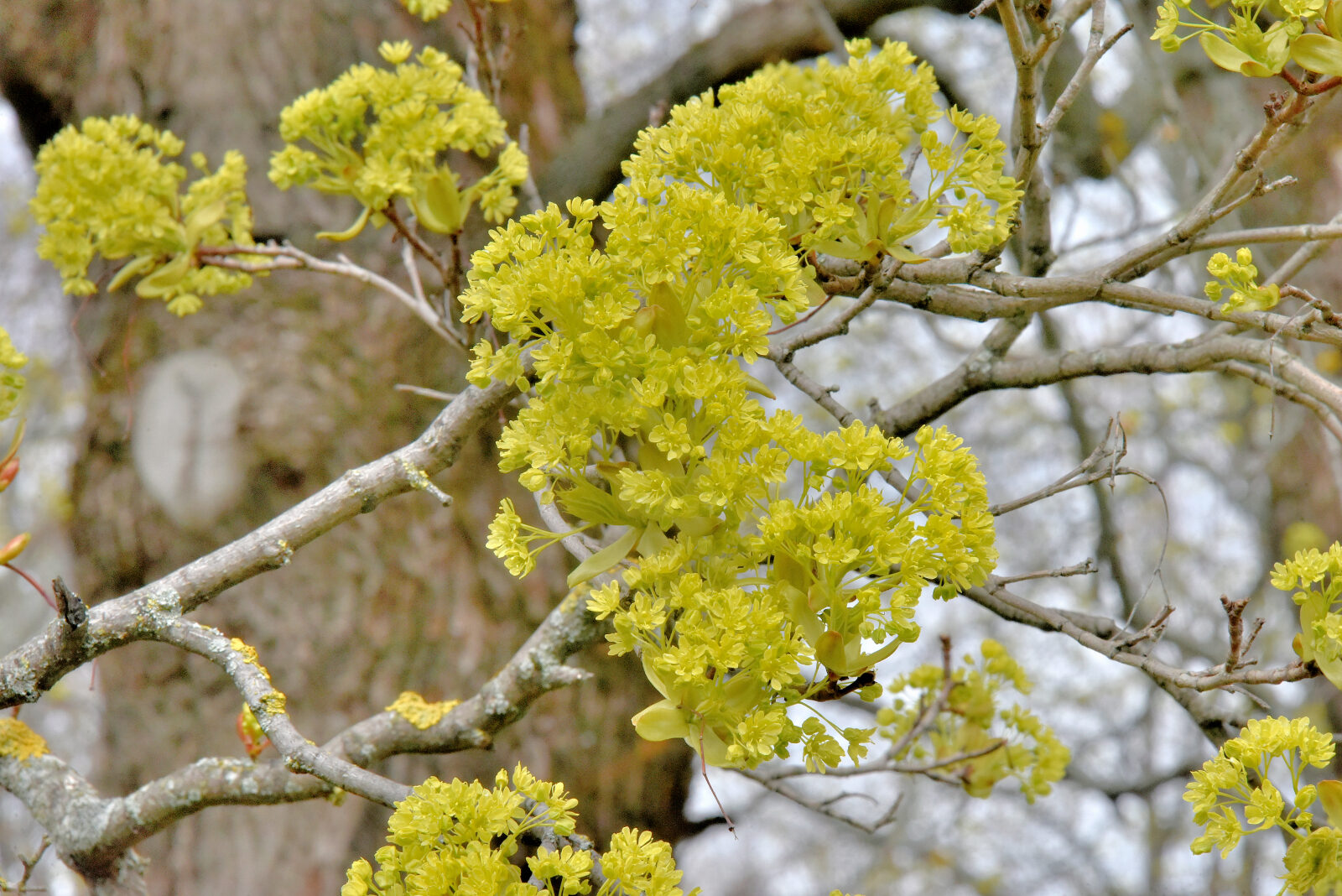 Valokuvaaja: Reijo Juurinen