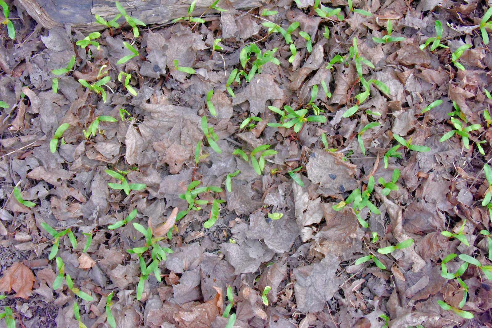 Valokuvaaja: Reijo Juurinen