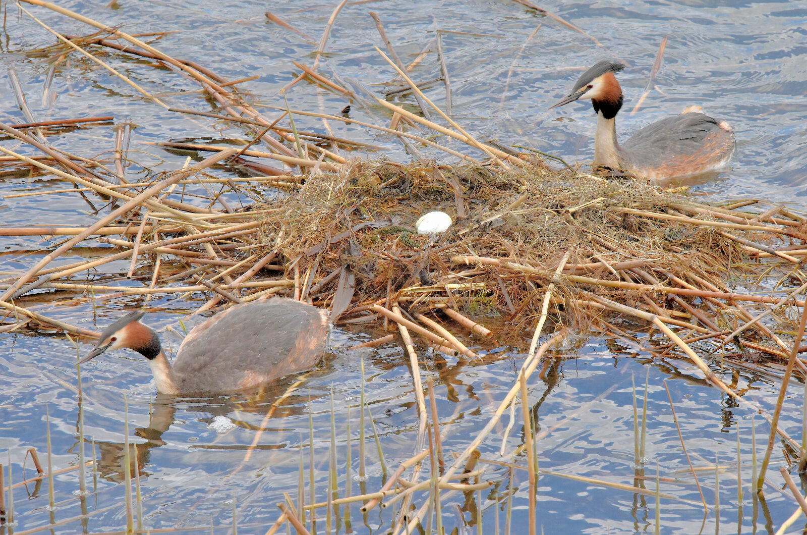 Valokuvaaja: Reijo Juurinen