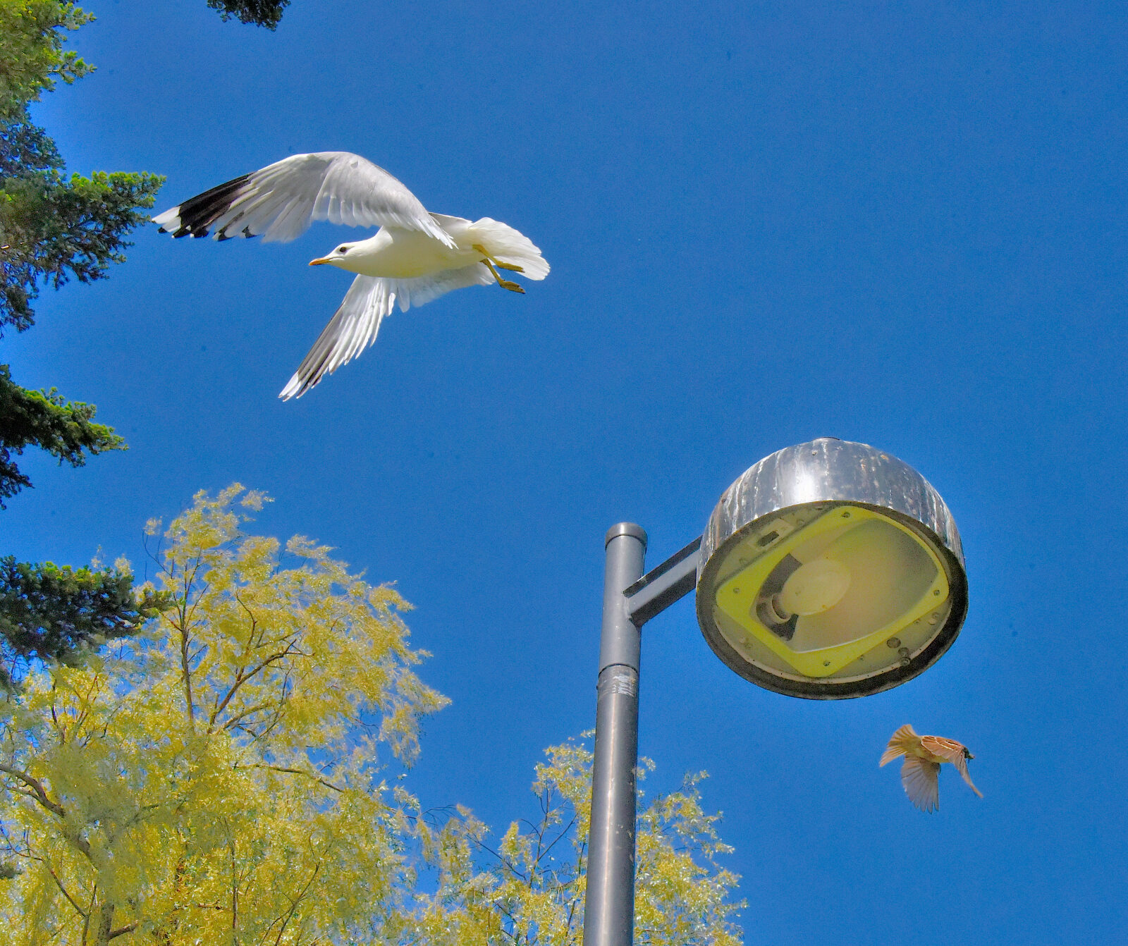 Valokuvaaja: Reijo Juurinen
