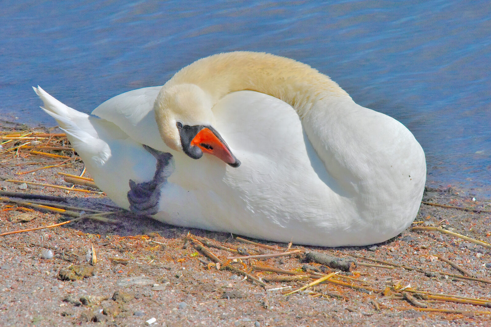 Valokuvaaja: Reijo Juurinen