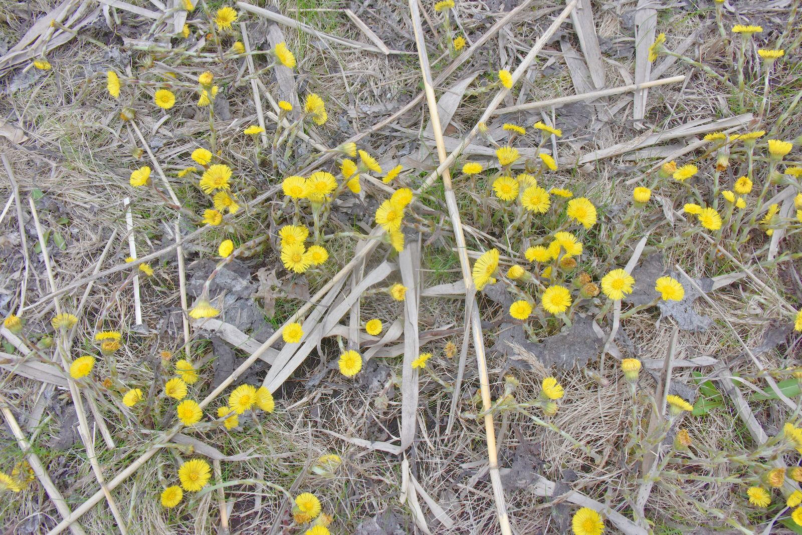 Valokuvaaja: Reijo Juurinen