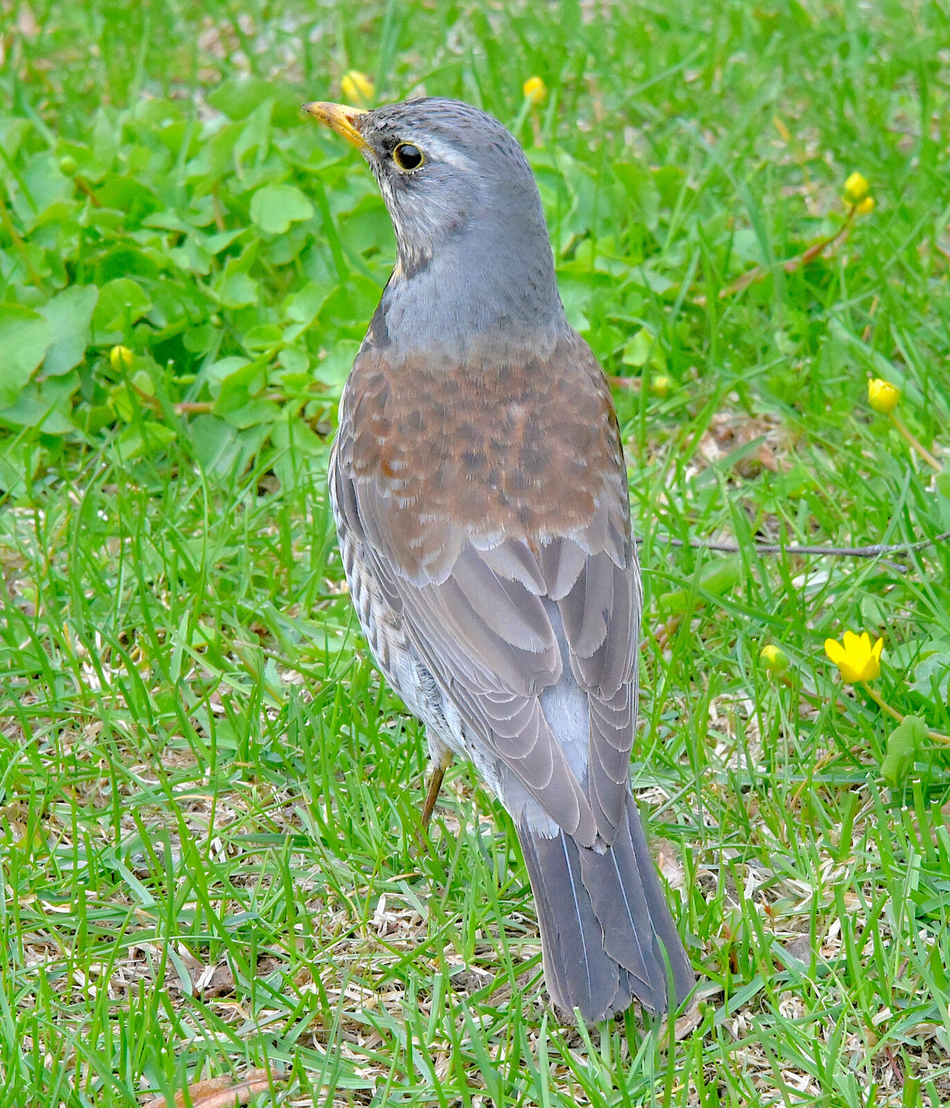 Valokuvaaja: Reijo Juurinen