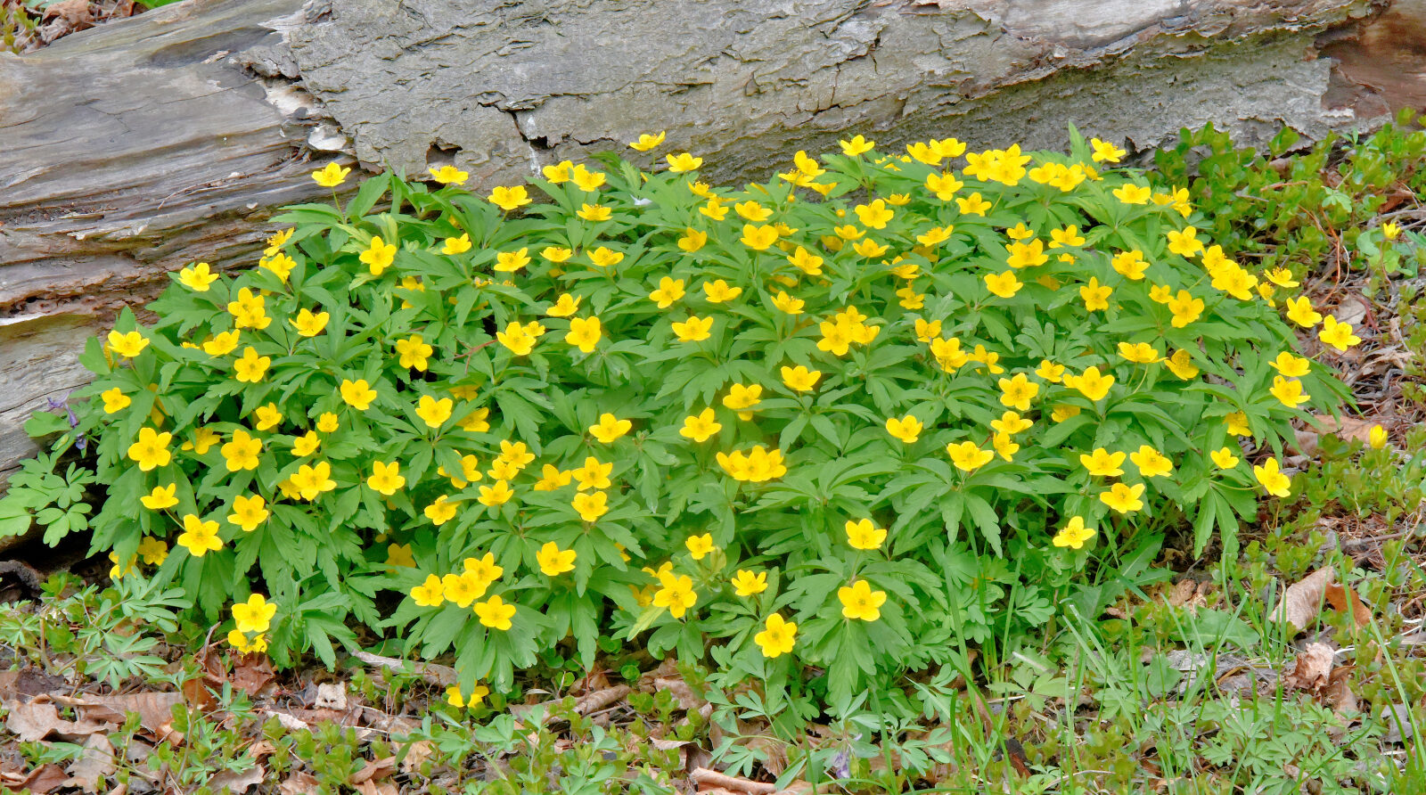 Valokuvaaja: Reijo Juurinen