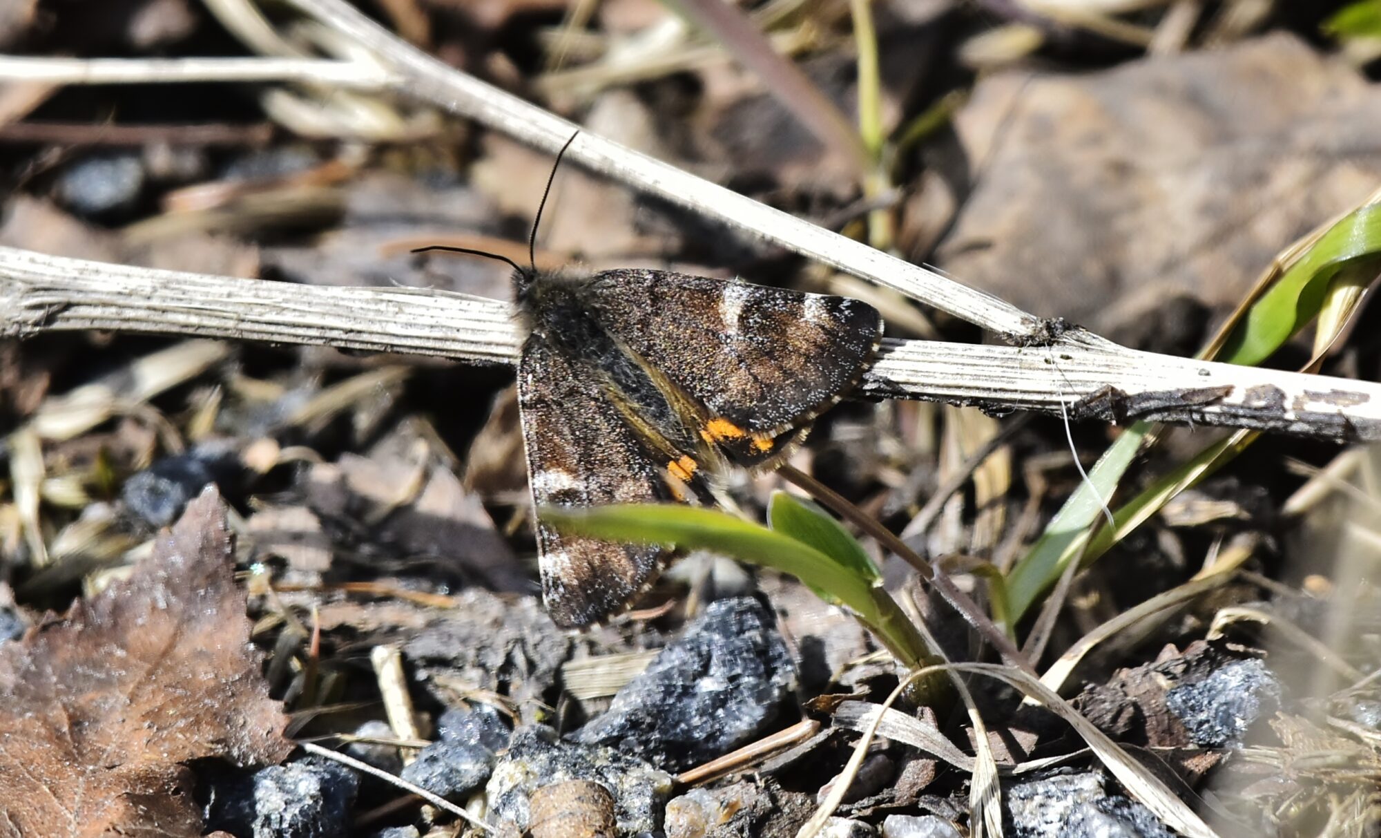 Valokuvaaja: Markku Pelkonen