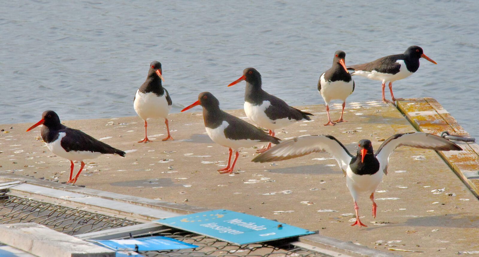 Valokuvaaja: Reijo Juurinen