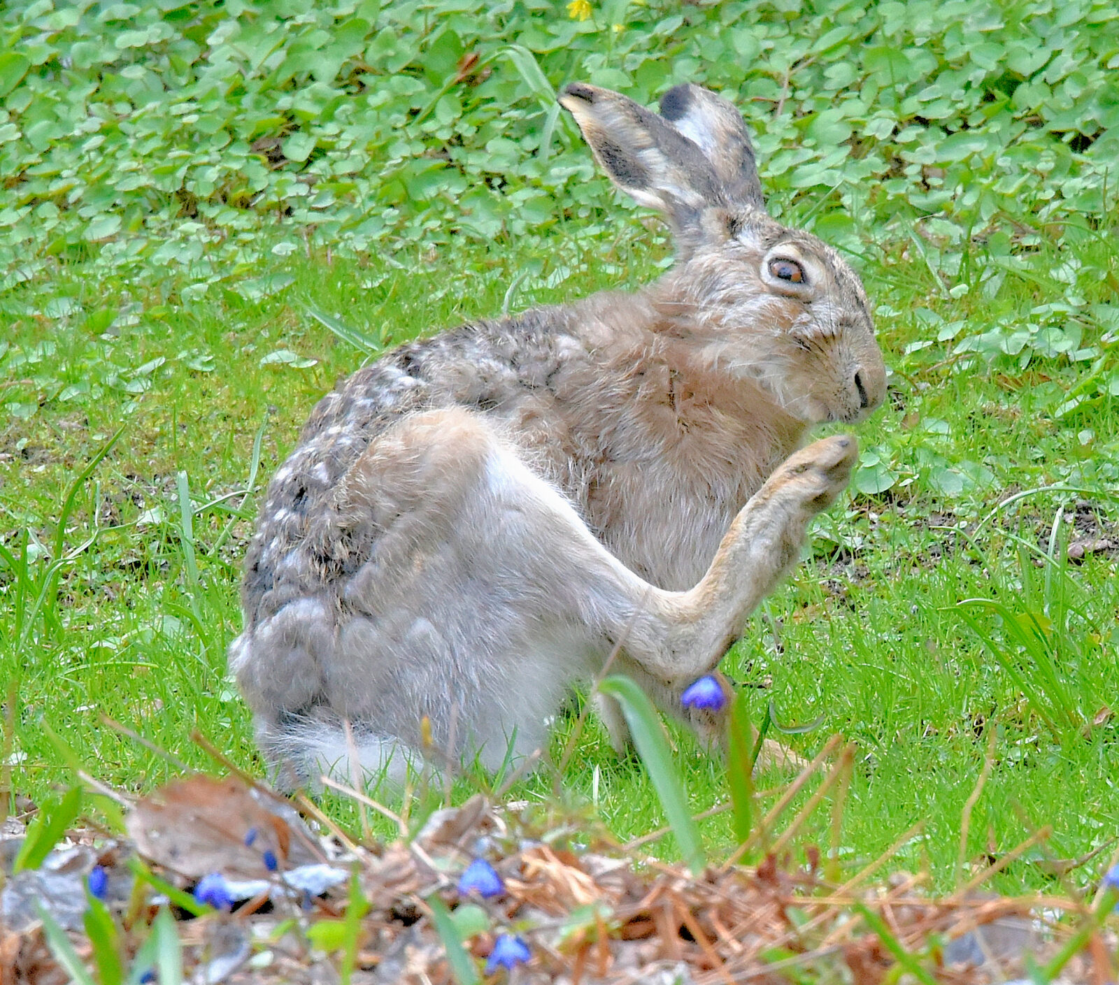 Valokuvaaja: Reijo Juurinen