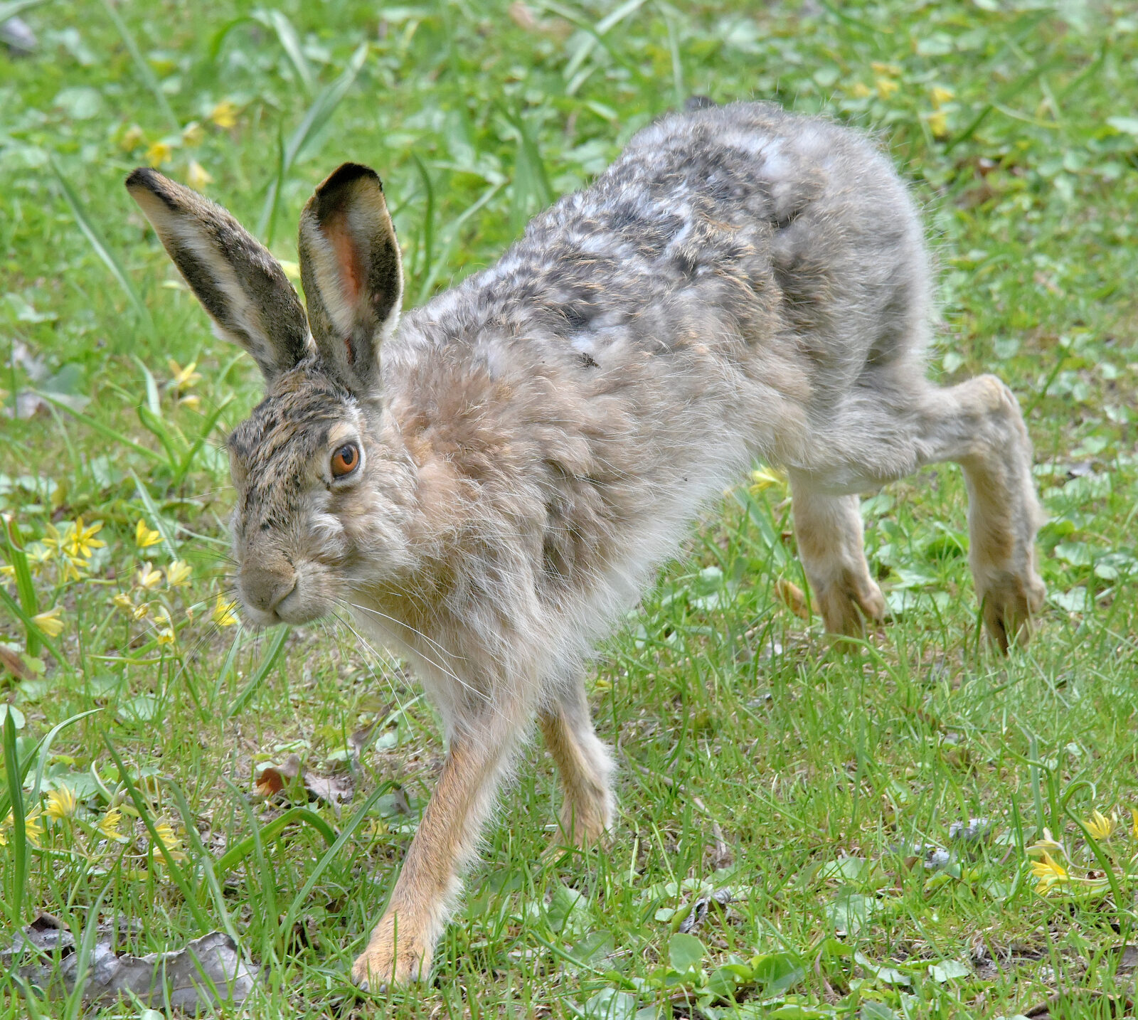 Valokuvaaja: Reijo Juurinen