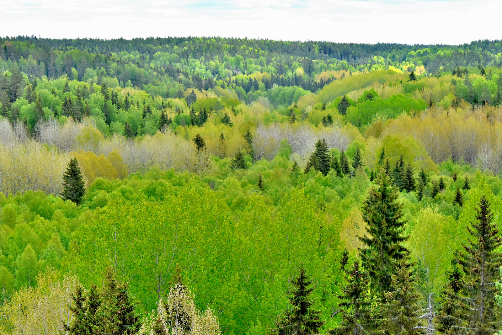 Valokuvaaja: Reijo Juurinen